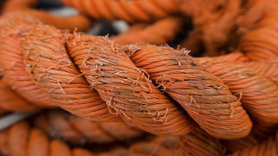 Objects photography