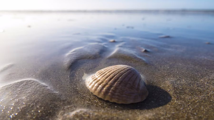 Sea photography
