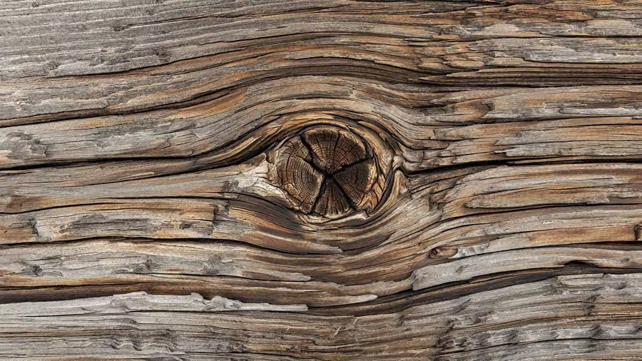 Structures photography