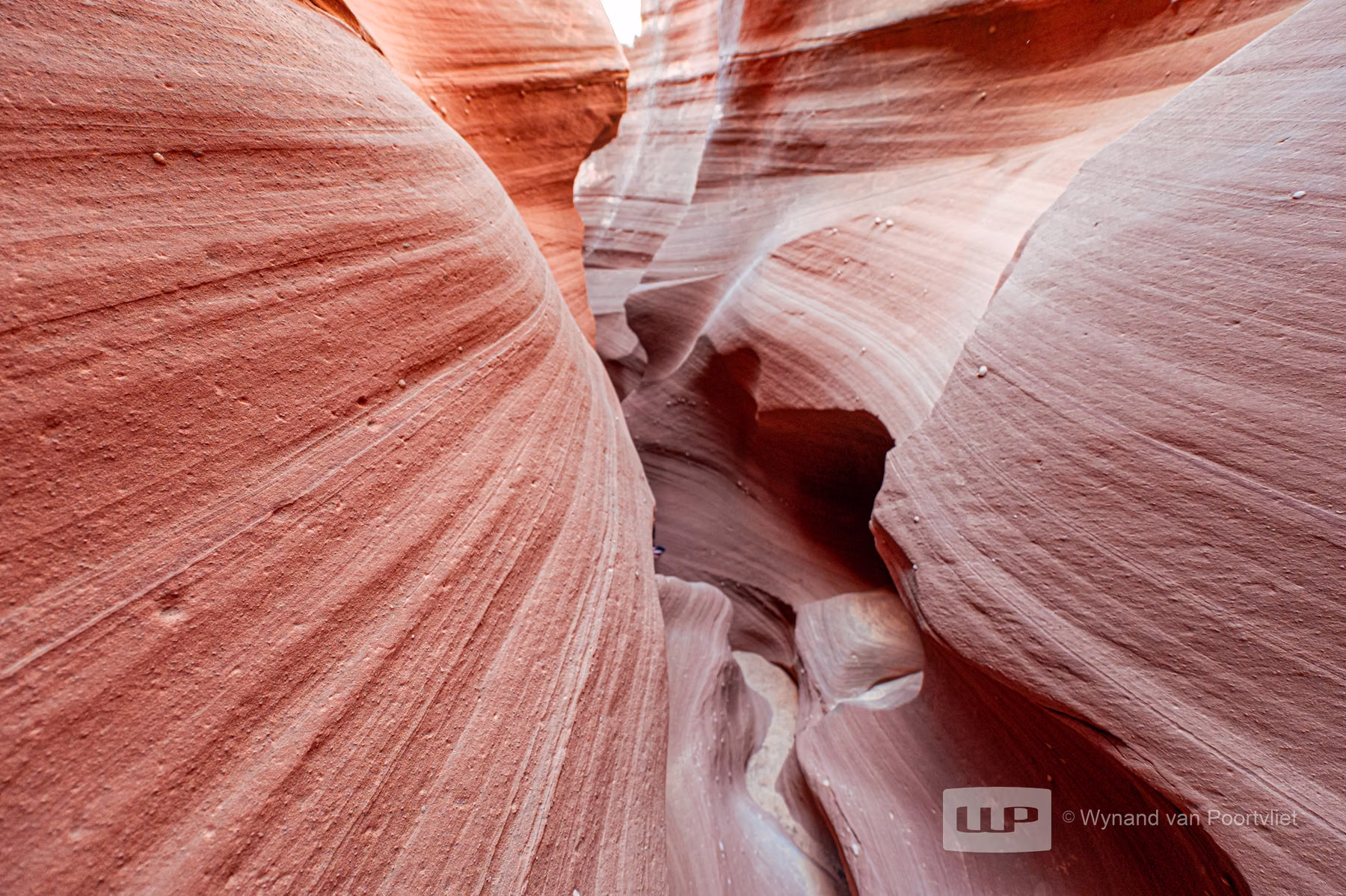 Waterholes Canyon - Arizona - USA