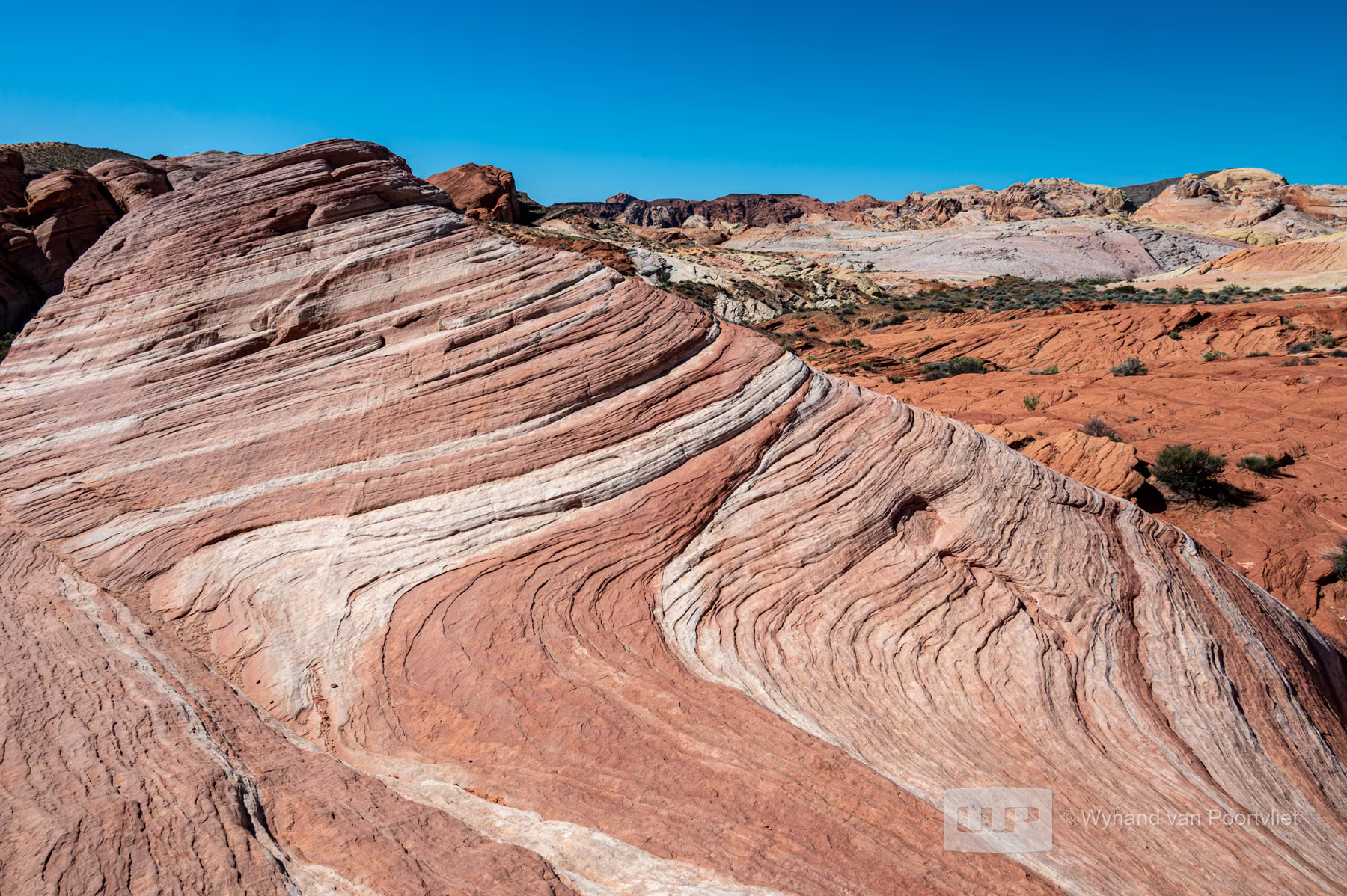Valley of Fire State Park - Nevada - USA