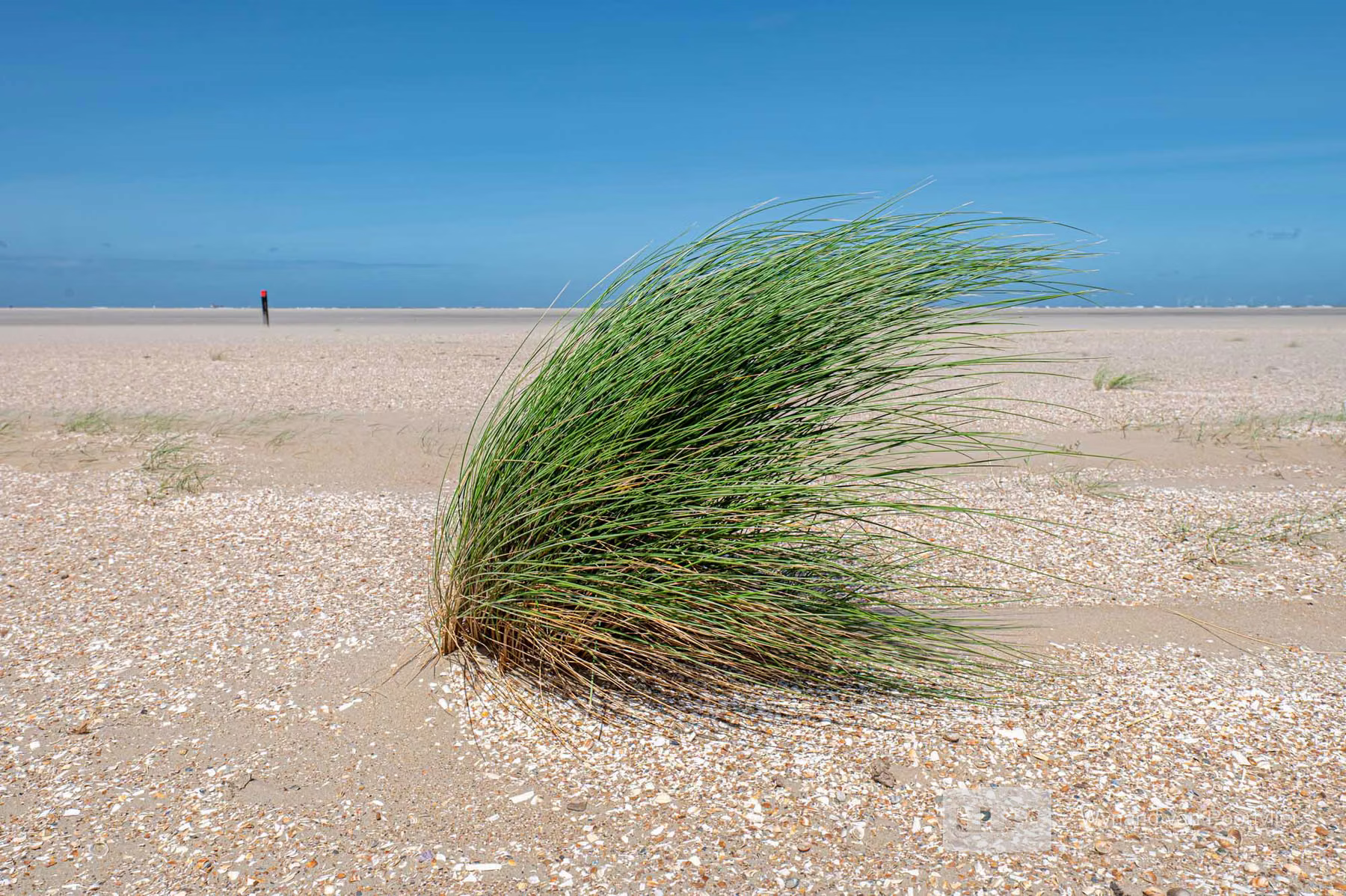 Ouddorp - The Netherlands