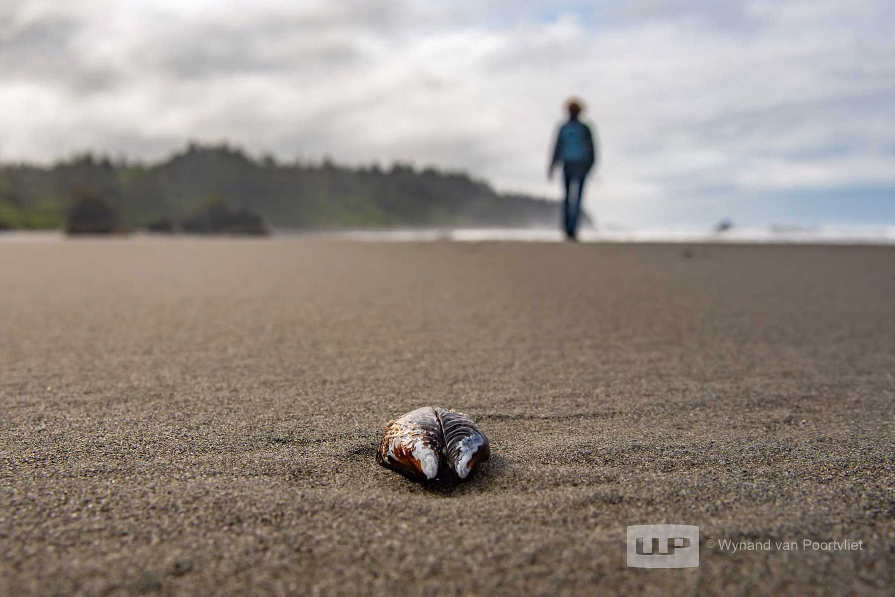 Ruby Beach - Washington - USA