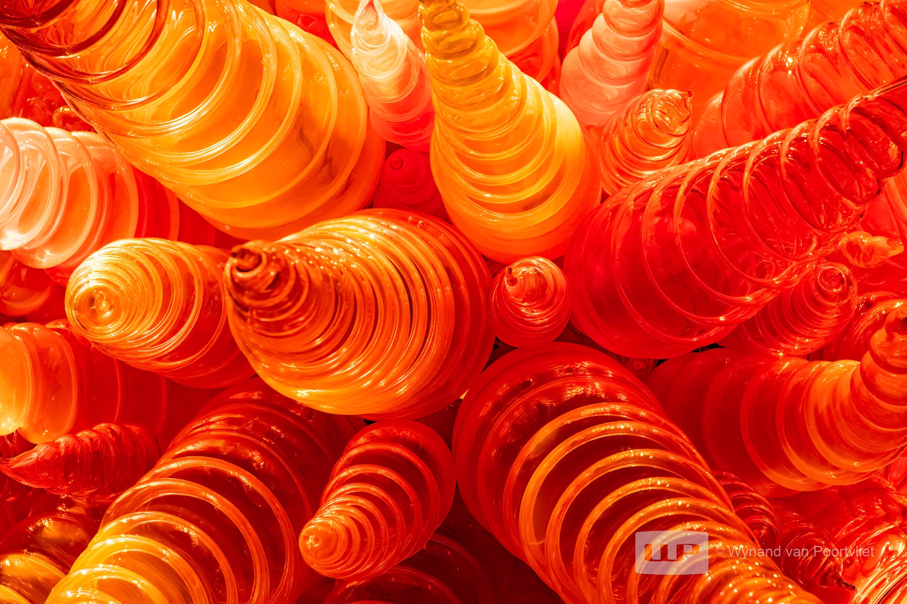 Chihuly Garden and Glass - Seattle - USA