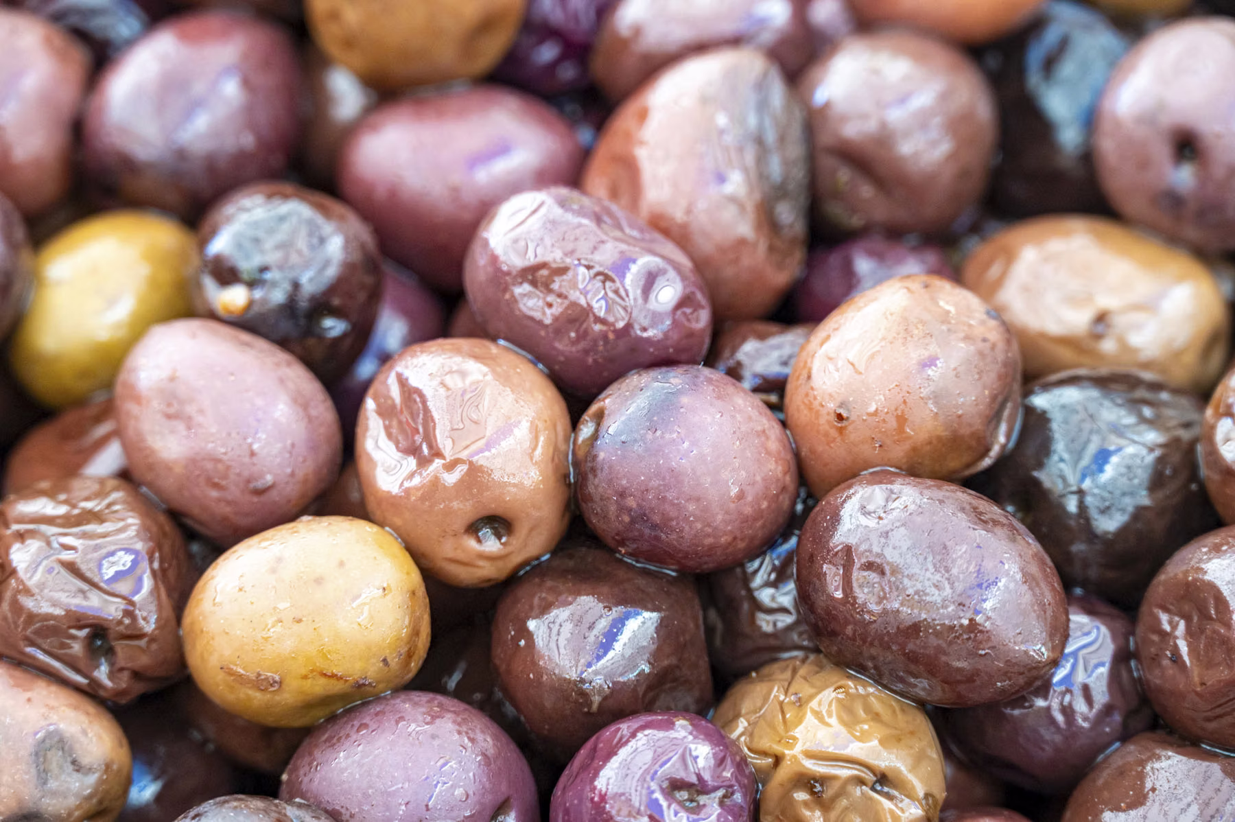 Olives - Siracusa - Siciliy - Italy (2023)
