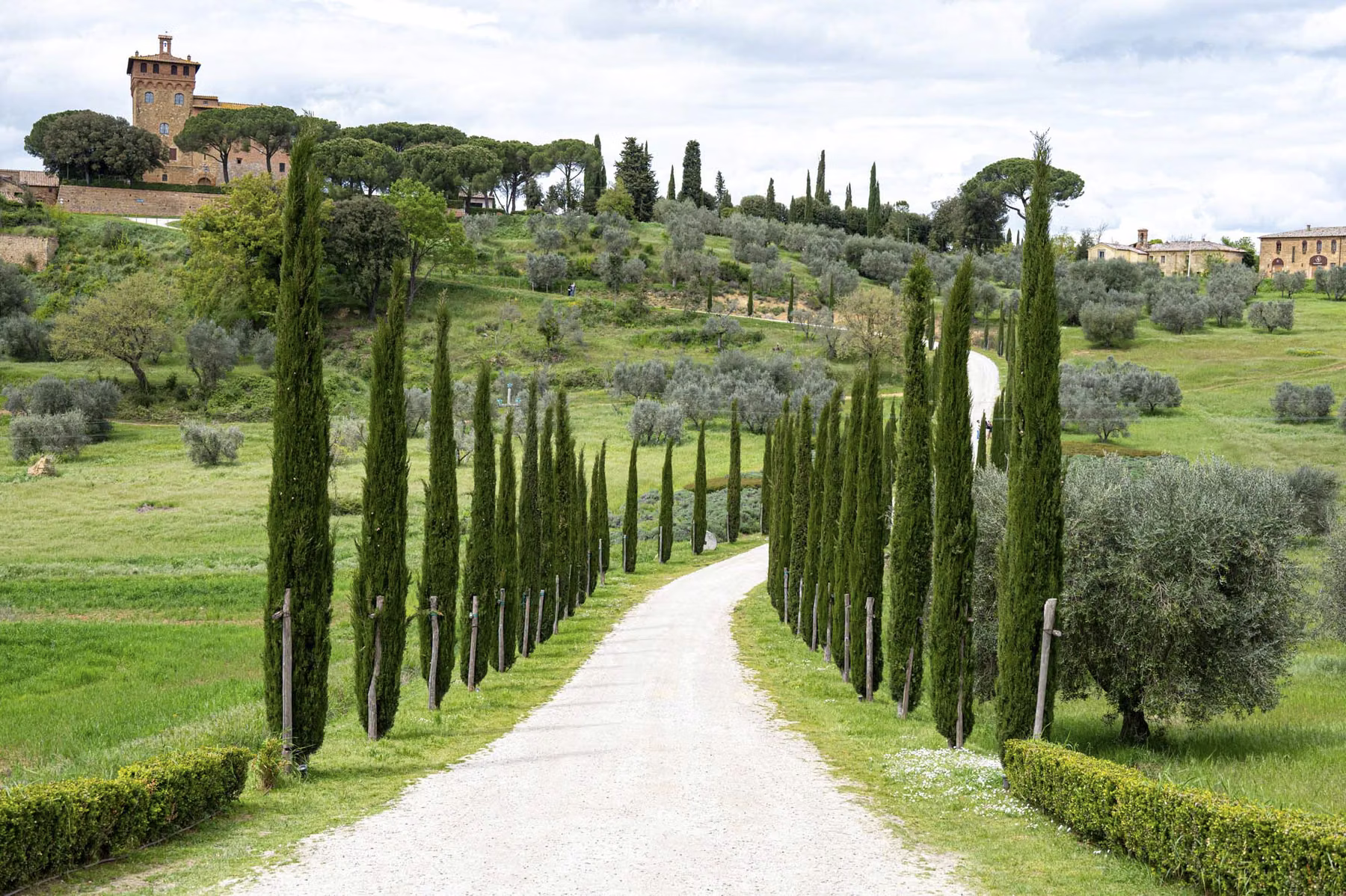 Pienza - Tuscany  - Italy (2025)
