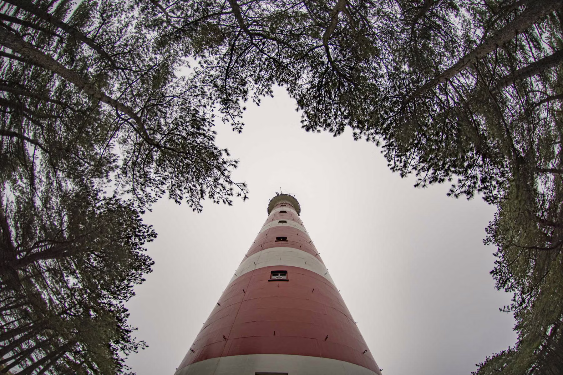 Ameland - The Netherlands (2017)