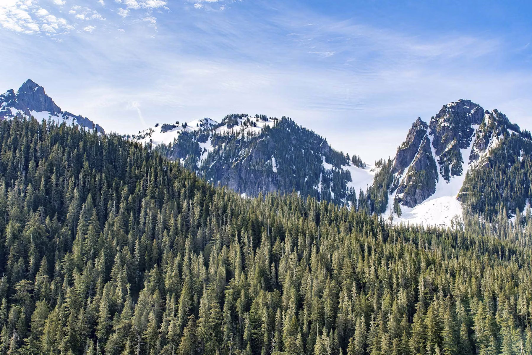 Mt Rainier National Park - Washington - USA (2019)