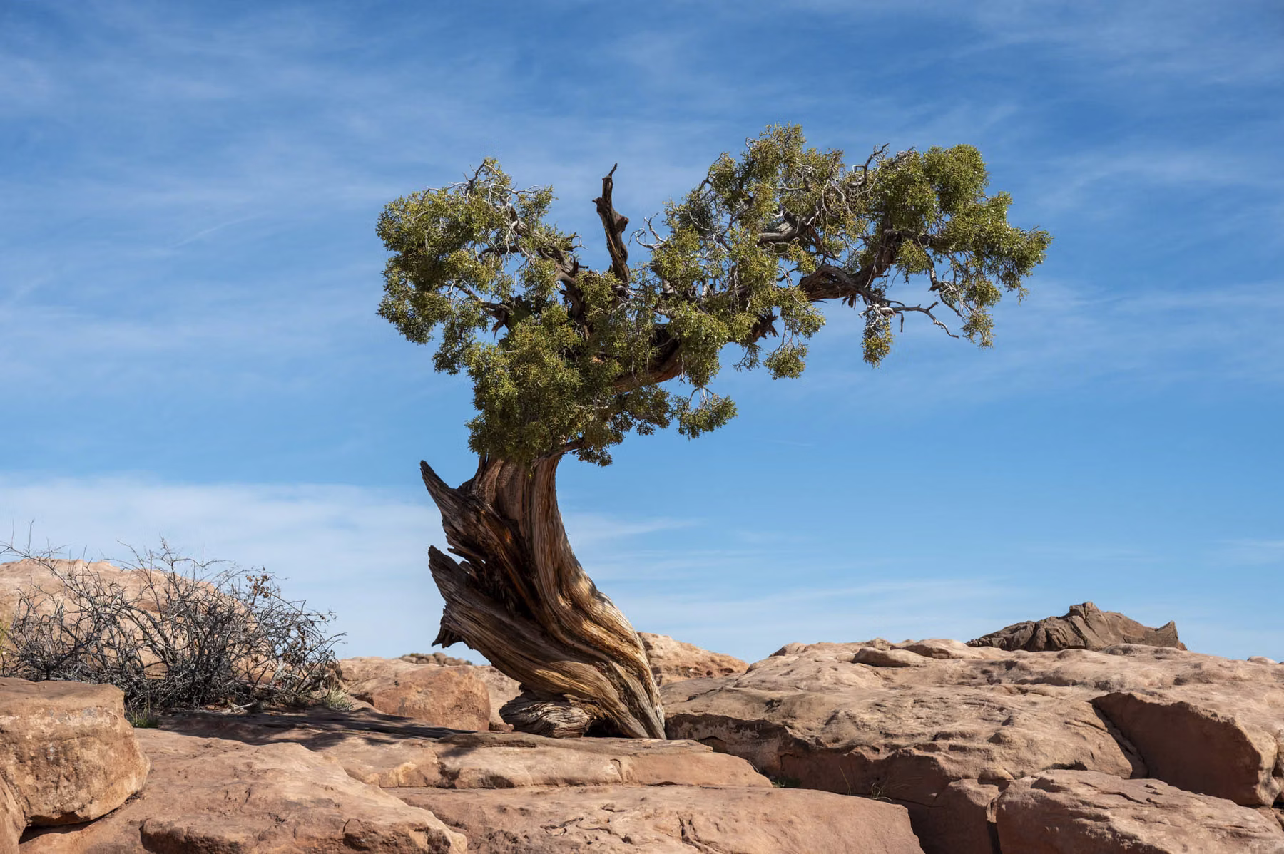 Dead Horse Point State Park - Utah - USA (2024)