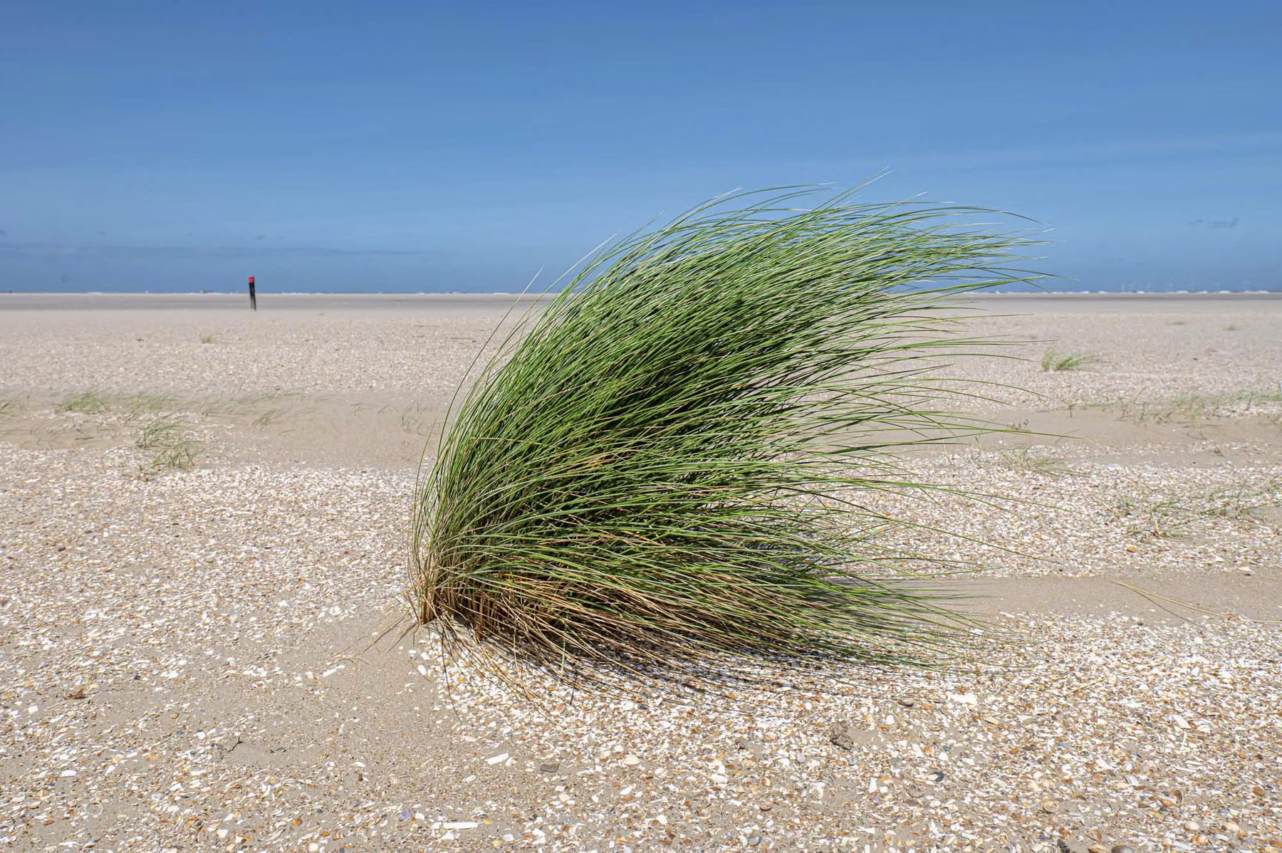 Ouddorp - The Netherlands (2023)