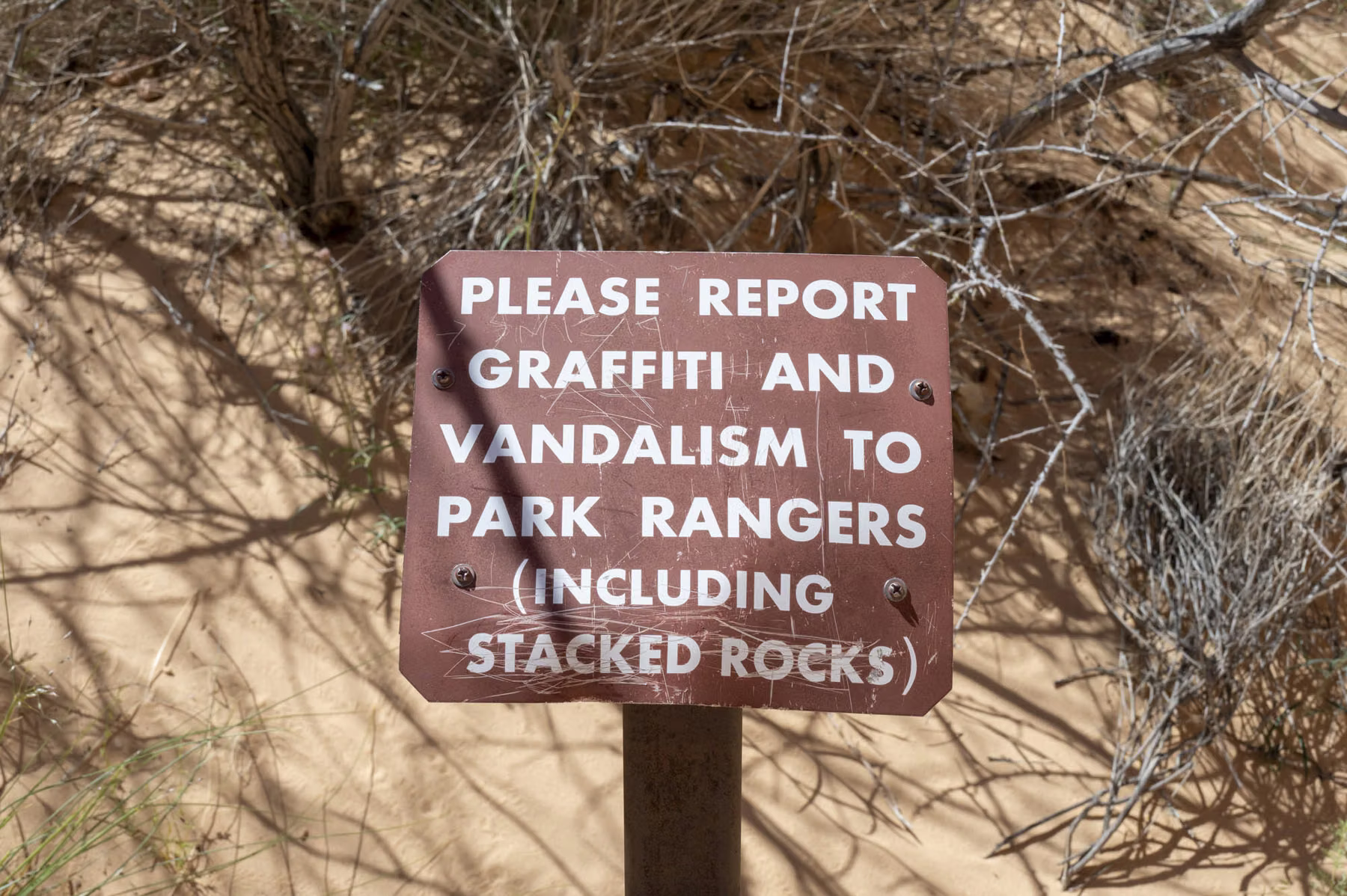 Valley of Fire State Park - Nevada - USA