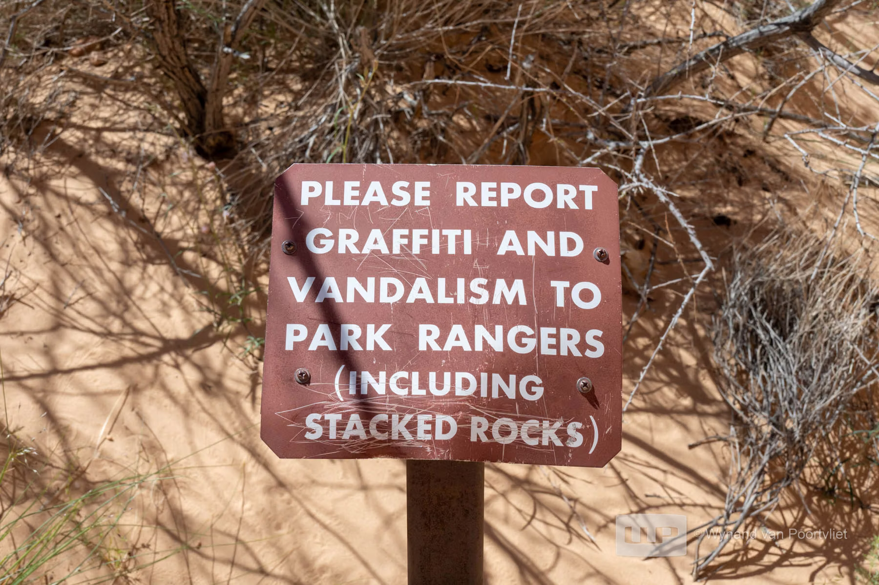 Valley of Fire State Park - Nevada - USA