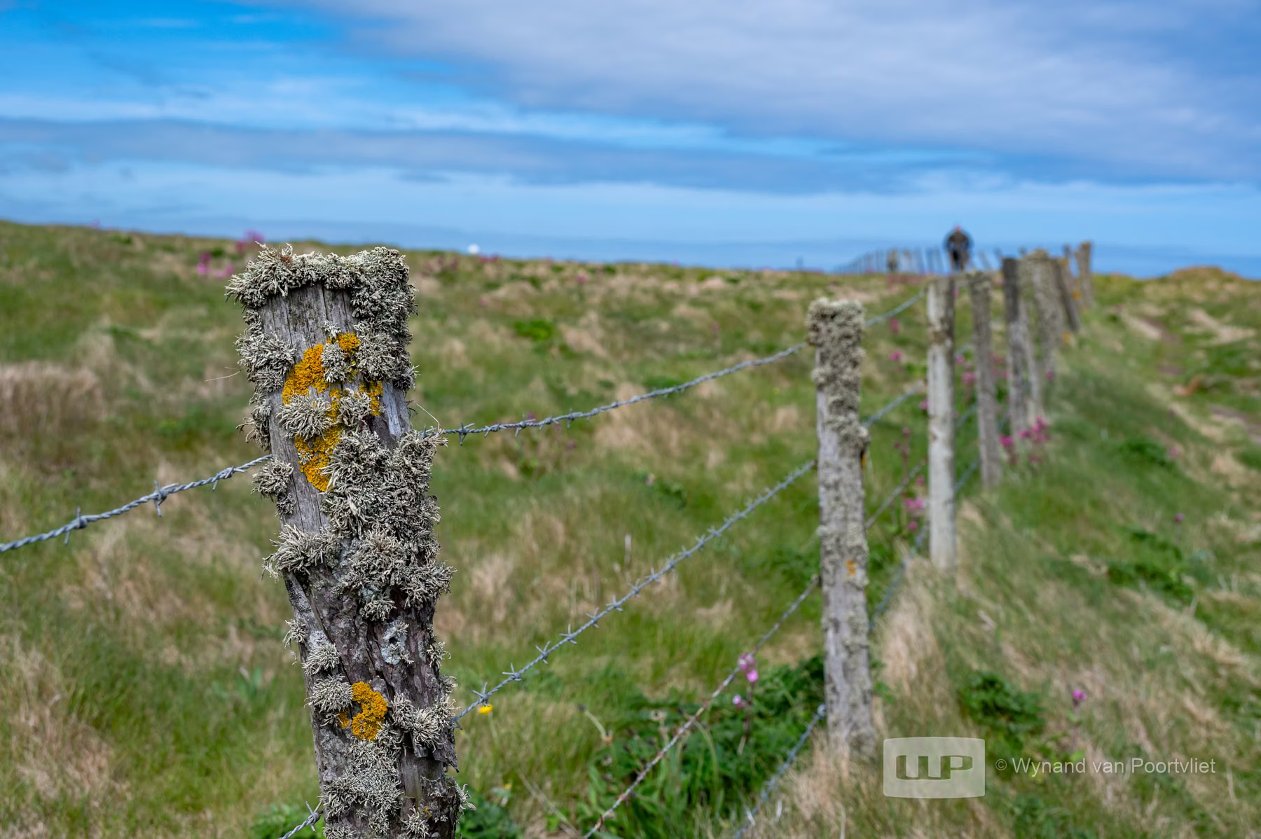 Bullers of Buchan & Longhaven Nature Reserve - Scotland