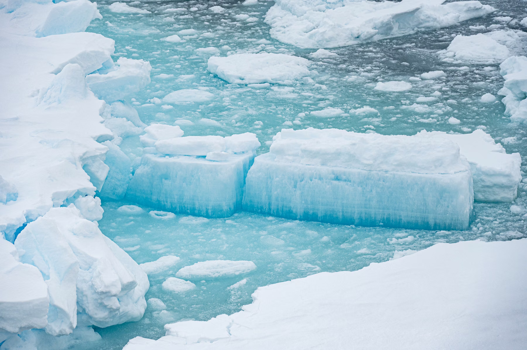 Pack Ice near Greenland (2026)