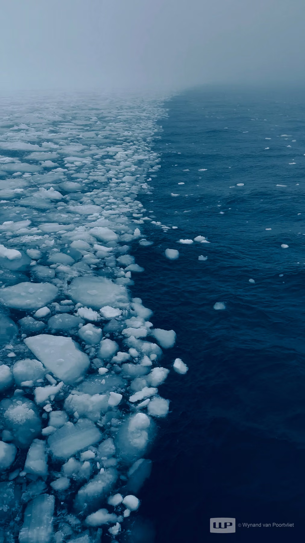 Pack Ice near Greenland