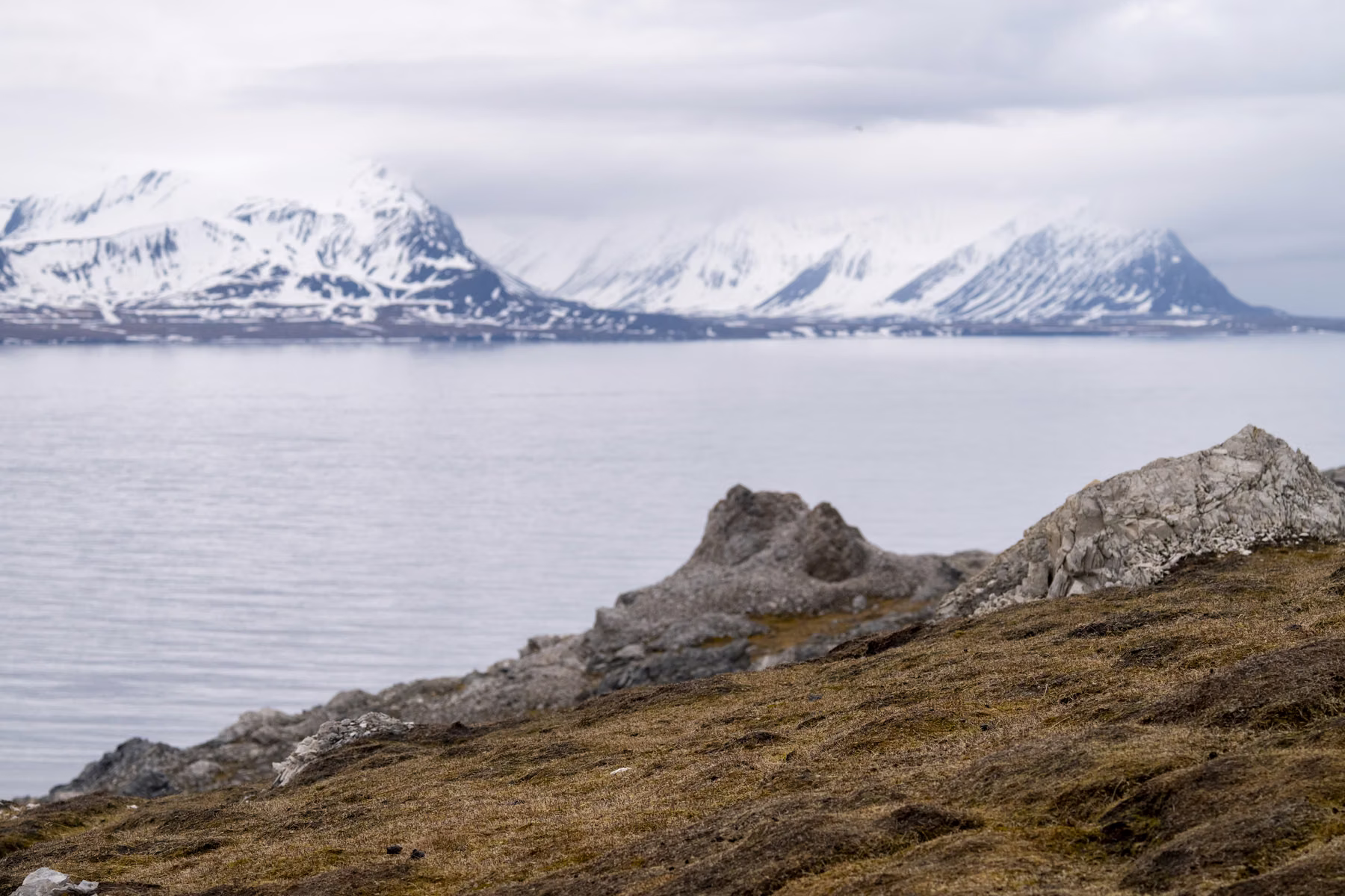 Alkhornet, Spitsbergen, Svalbard (2026)