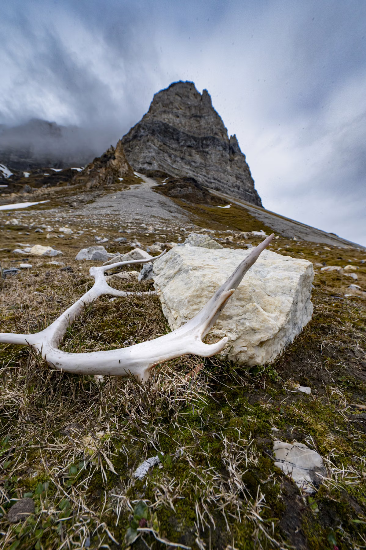 Alkhornet, Spitsbergen, Svalbard (2026)