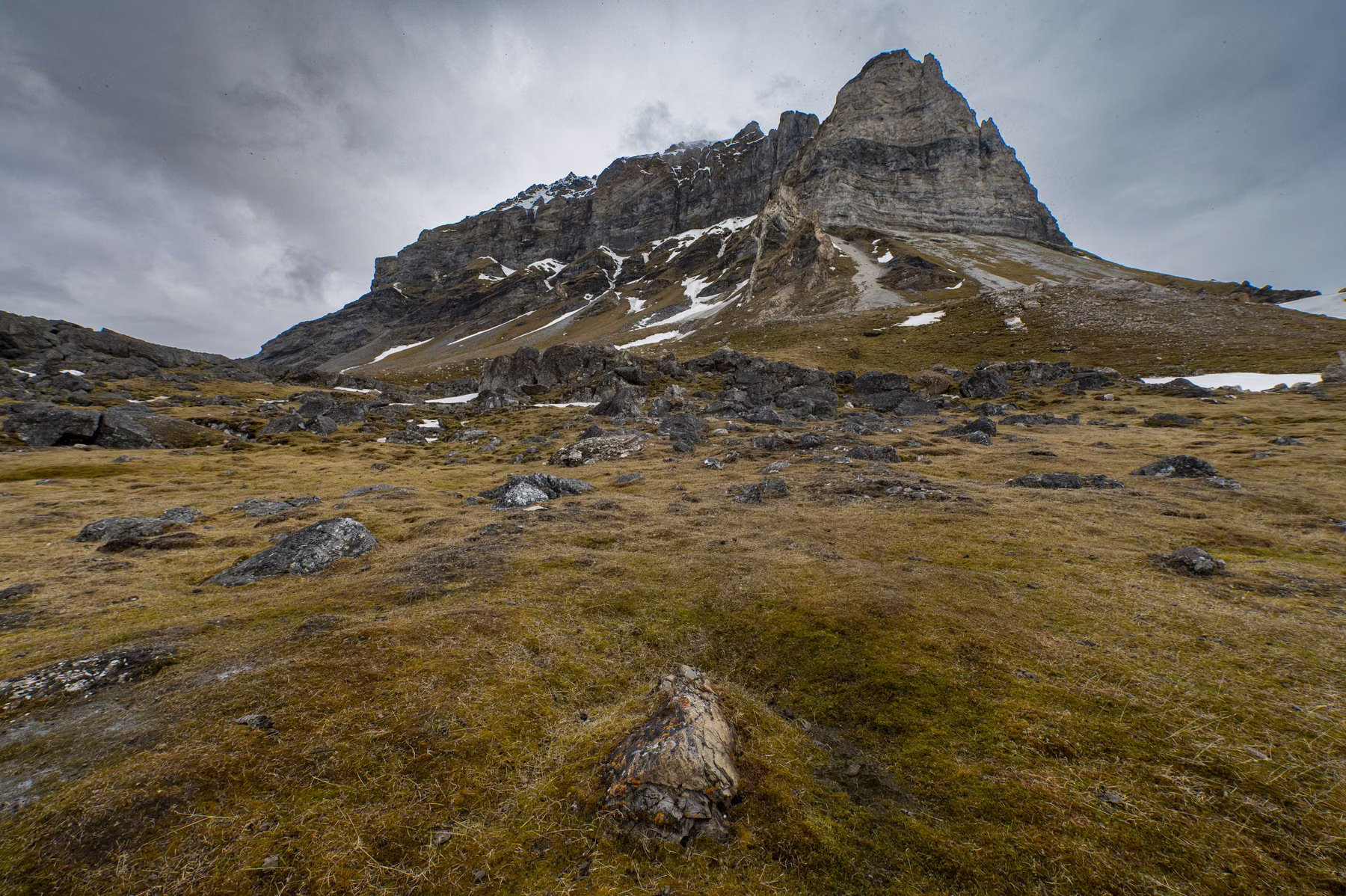 Alkhornet, Spitsbergen, Svalbard (2026)