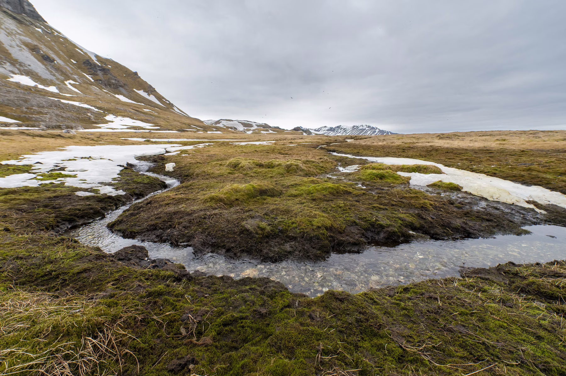 Alkhornet, Spitsbergen, Svalbard (2026)