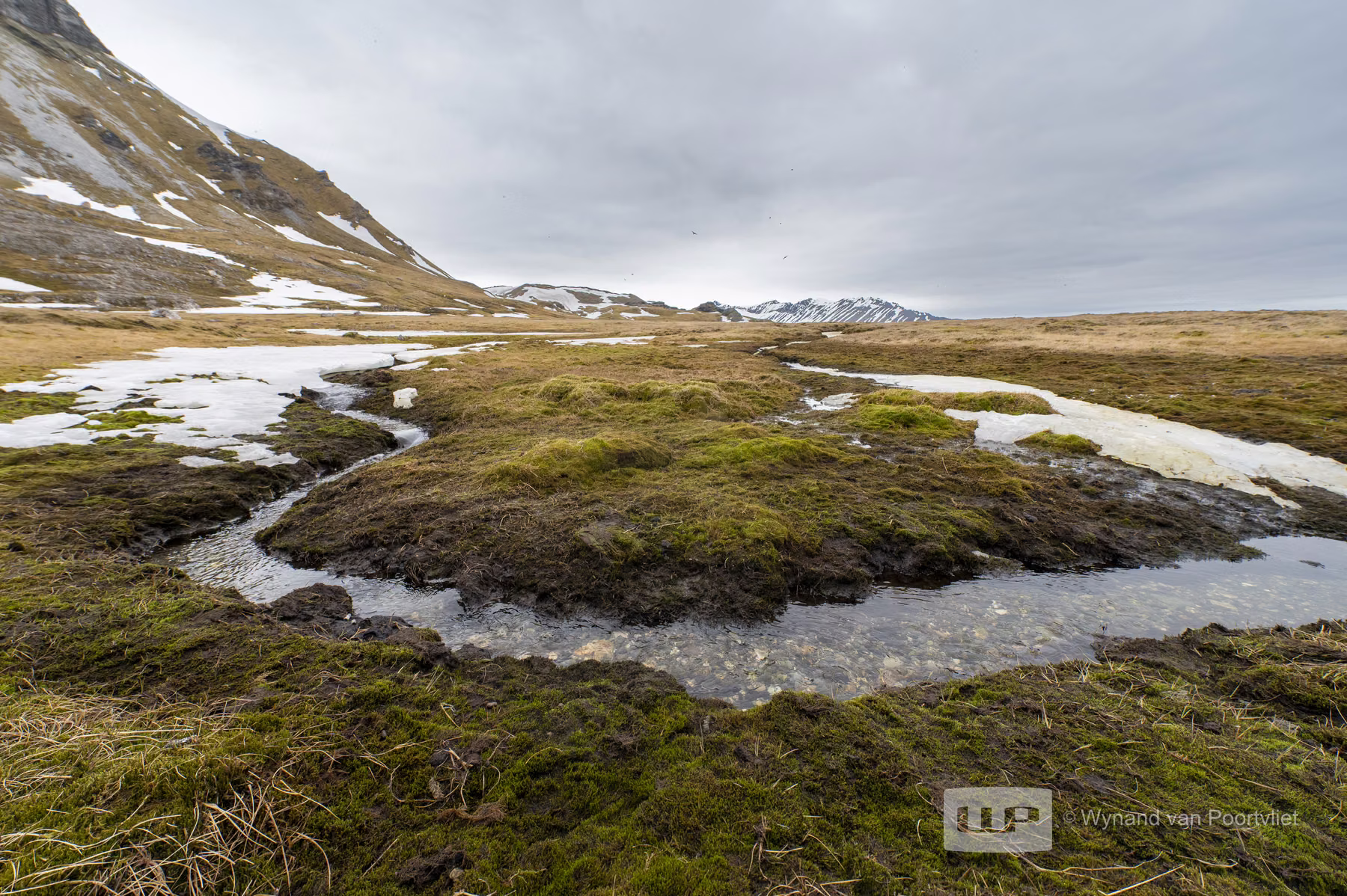 Alkhornet, Spitsbergen, Svalbard (2026)