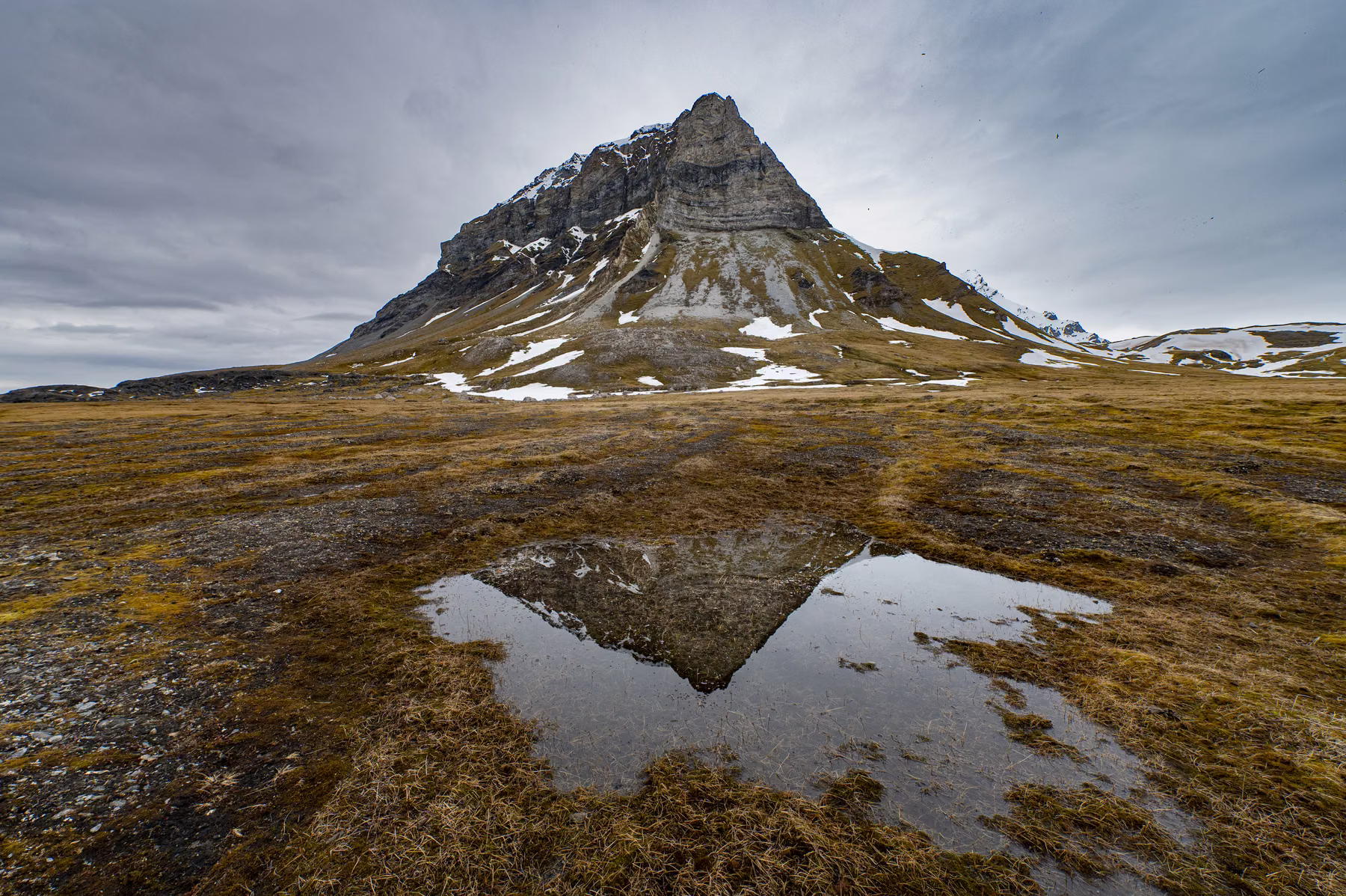 Alkhornet, Spitsbergen, Svalbard (2026)