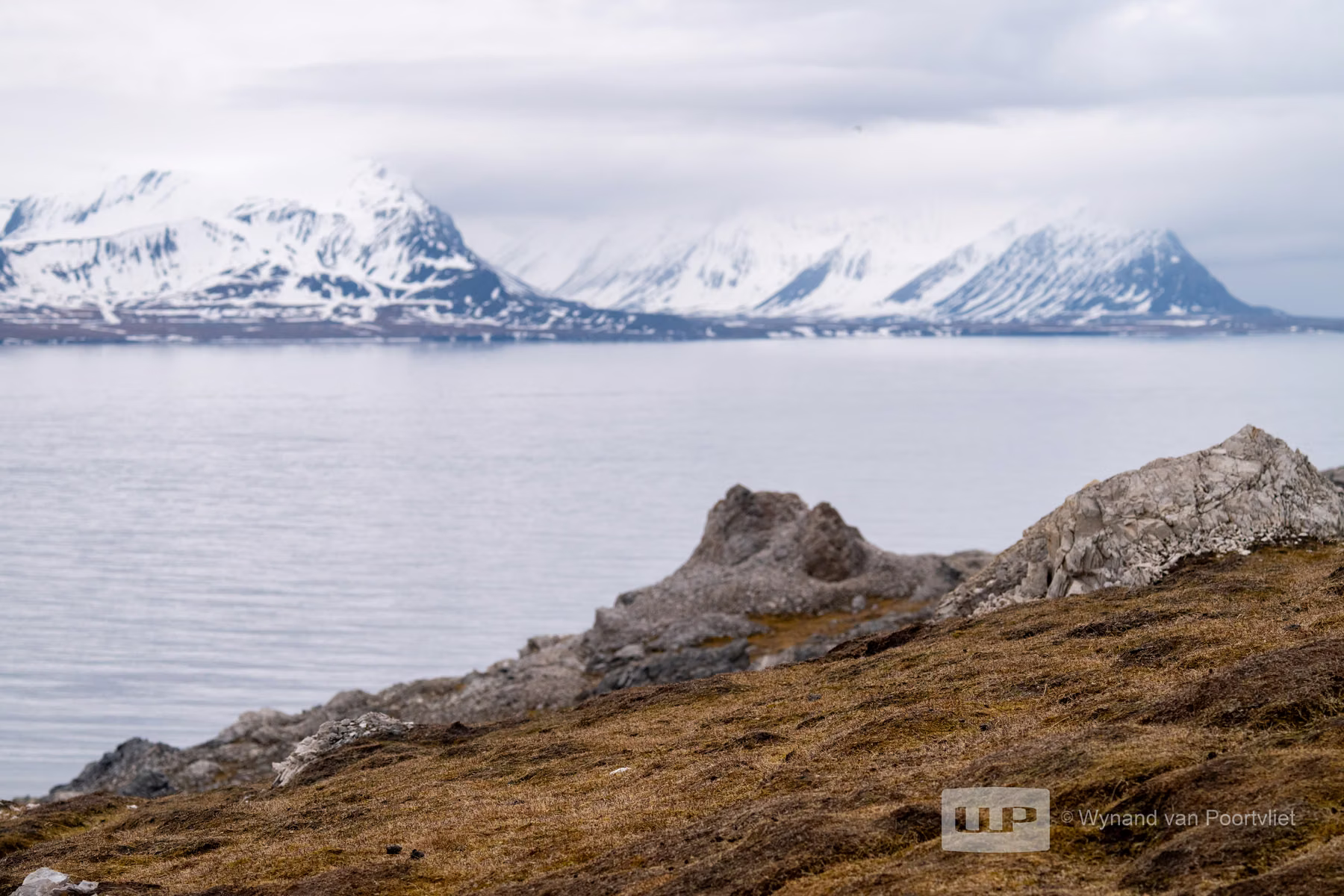 Alkhornet, Spitsbergen, Svalbard