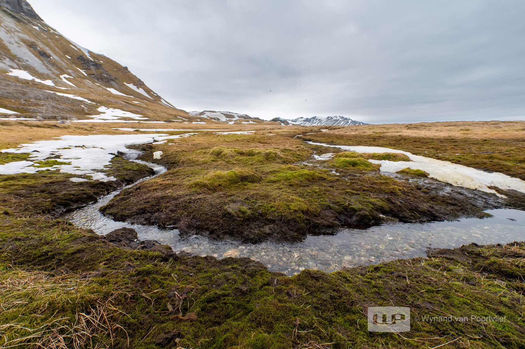 Alkhornet, Spitsbergen, Svalbard