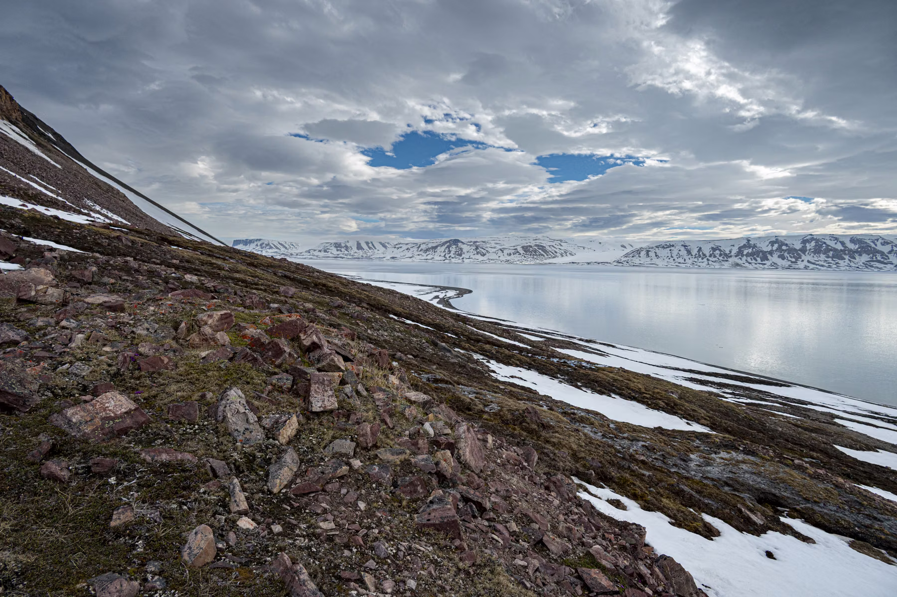 Faksevågen, Spitsbergen, Svalbard (2026)