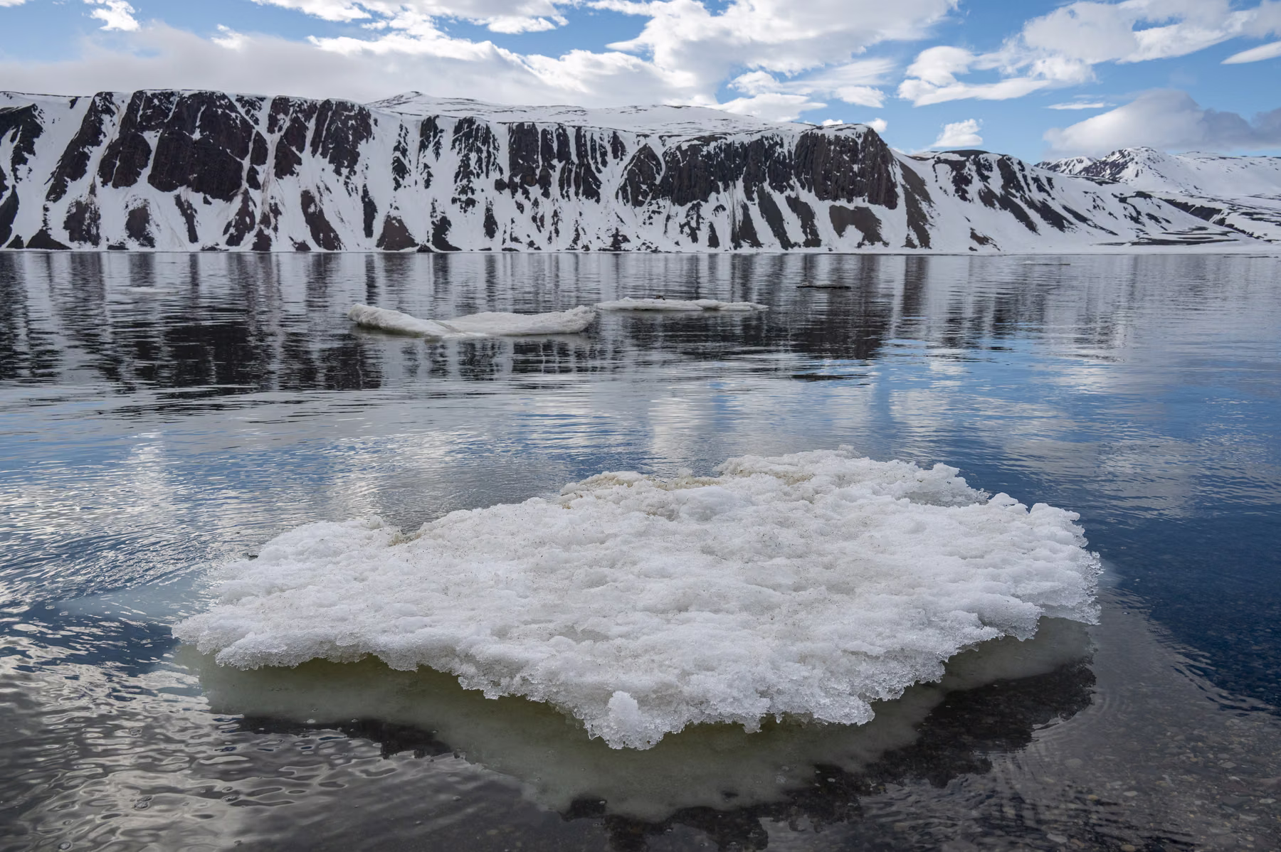 Faksevågen, Spitsbergen, Svalbard (2026)