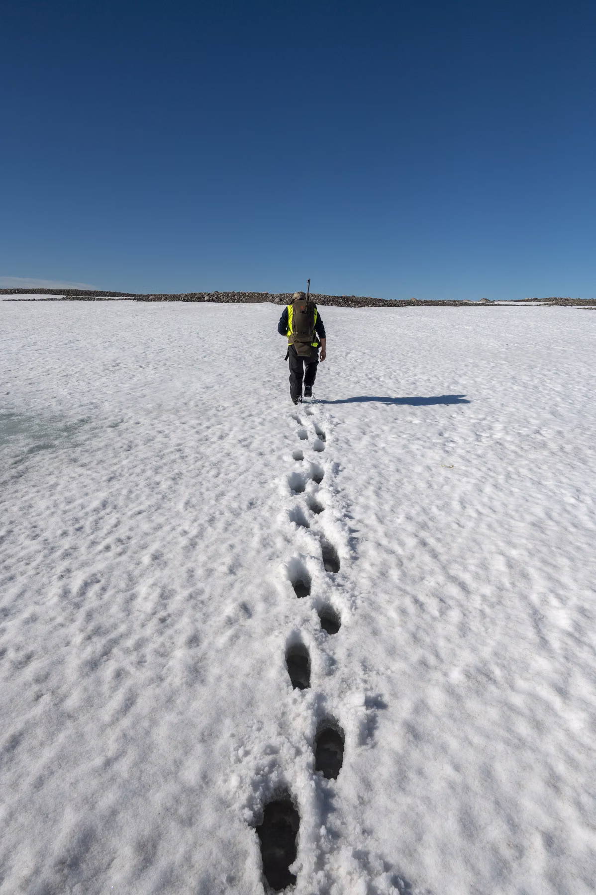 Chermsideøya, Spitsbergen, Svalbard (2026)