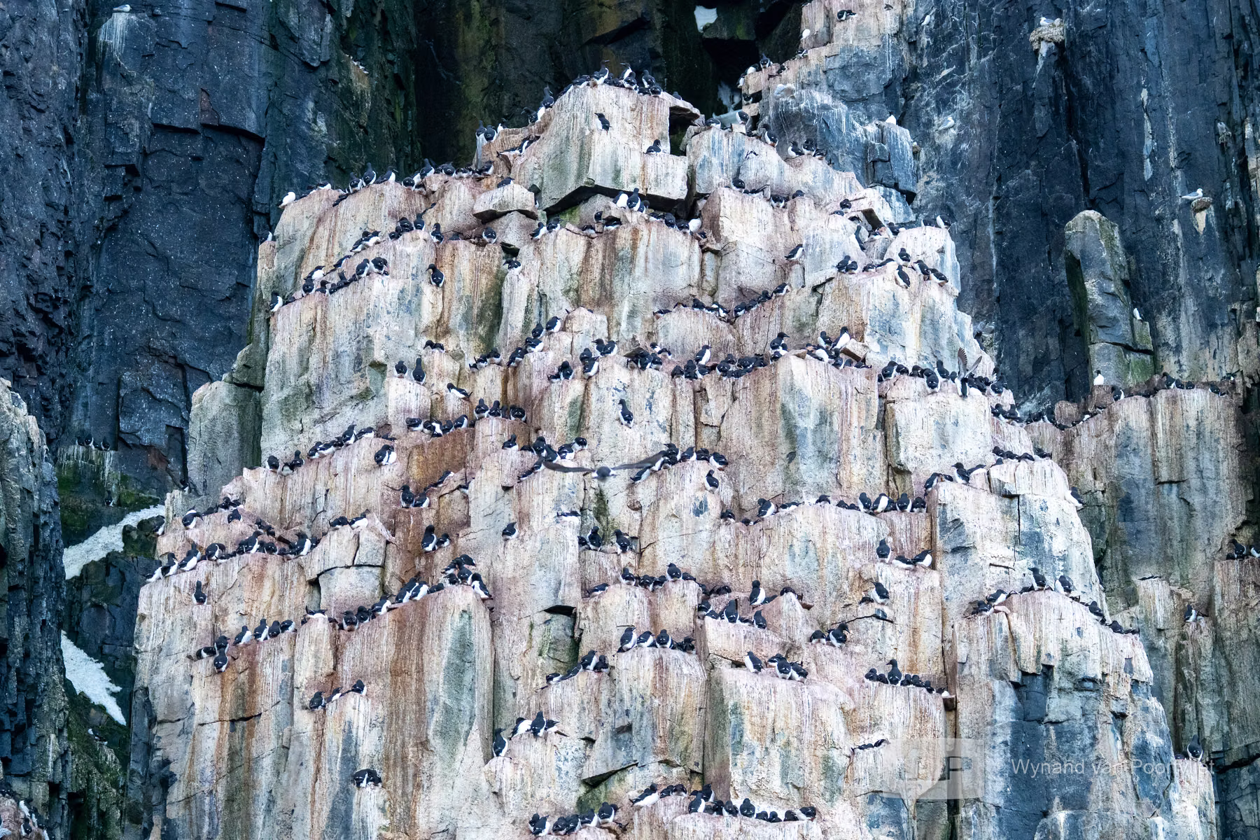 Alkefjellet, Spitsbergen, Svalbard