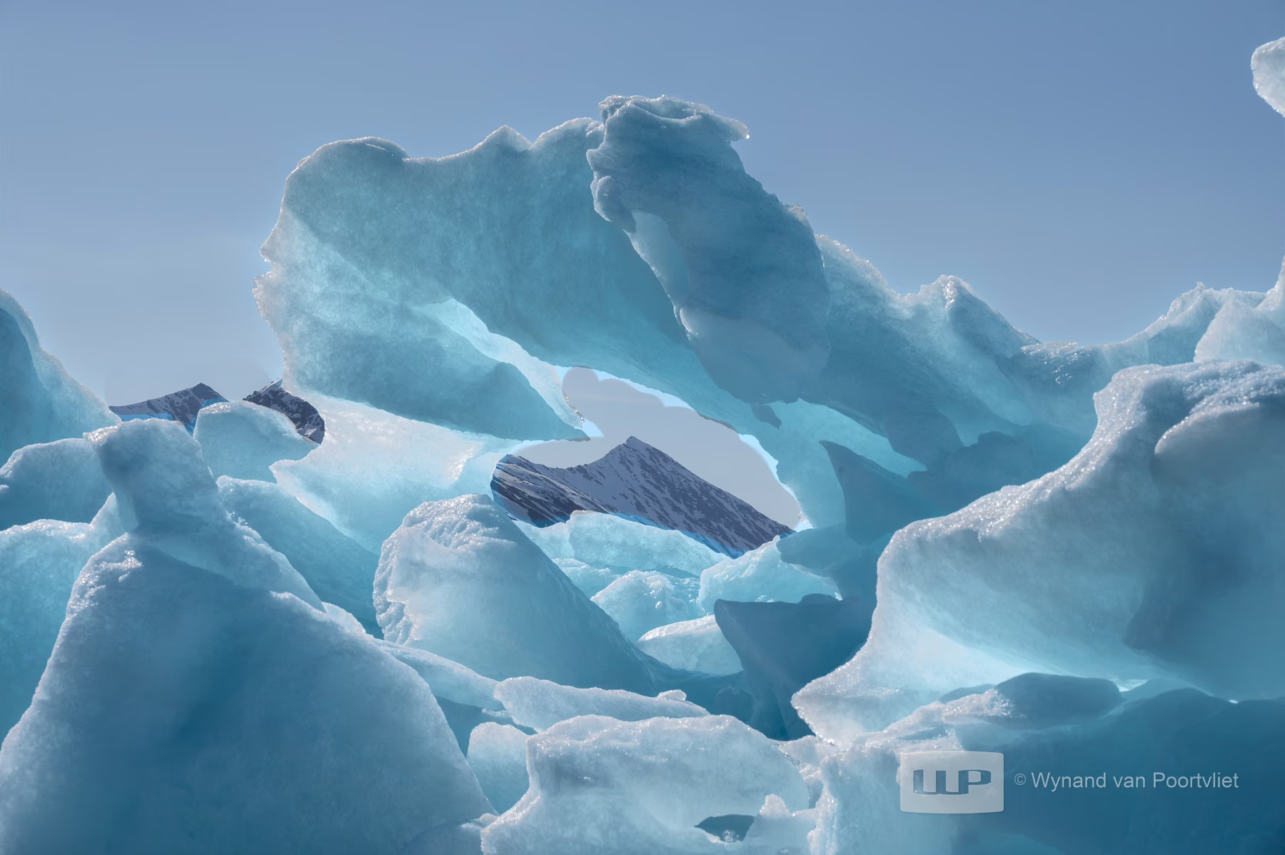 Liefdeflorden - Monacobreen, Spitsbergen, Svalbard (2026)