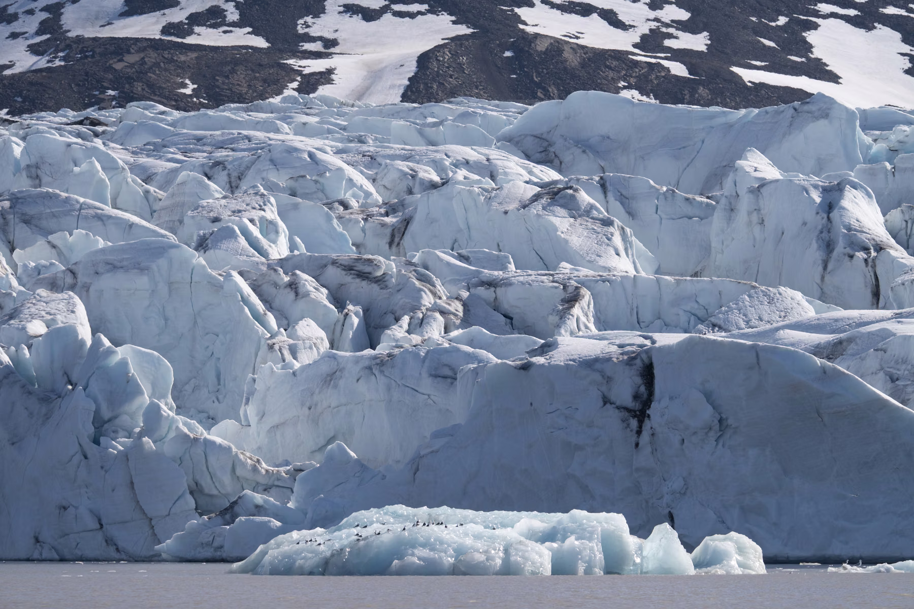 Liefdeflord - Monacobreen, Spitsbergen, Svalbard (2026)