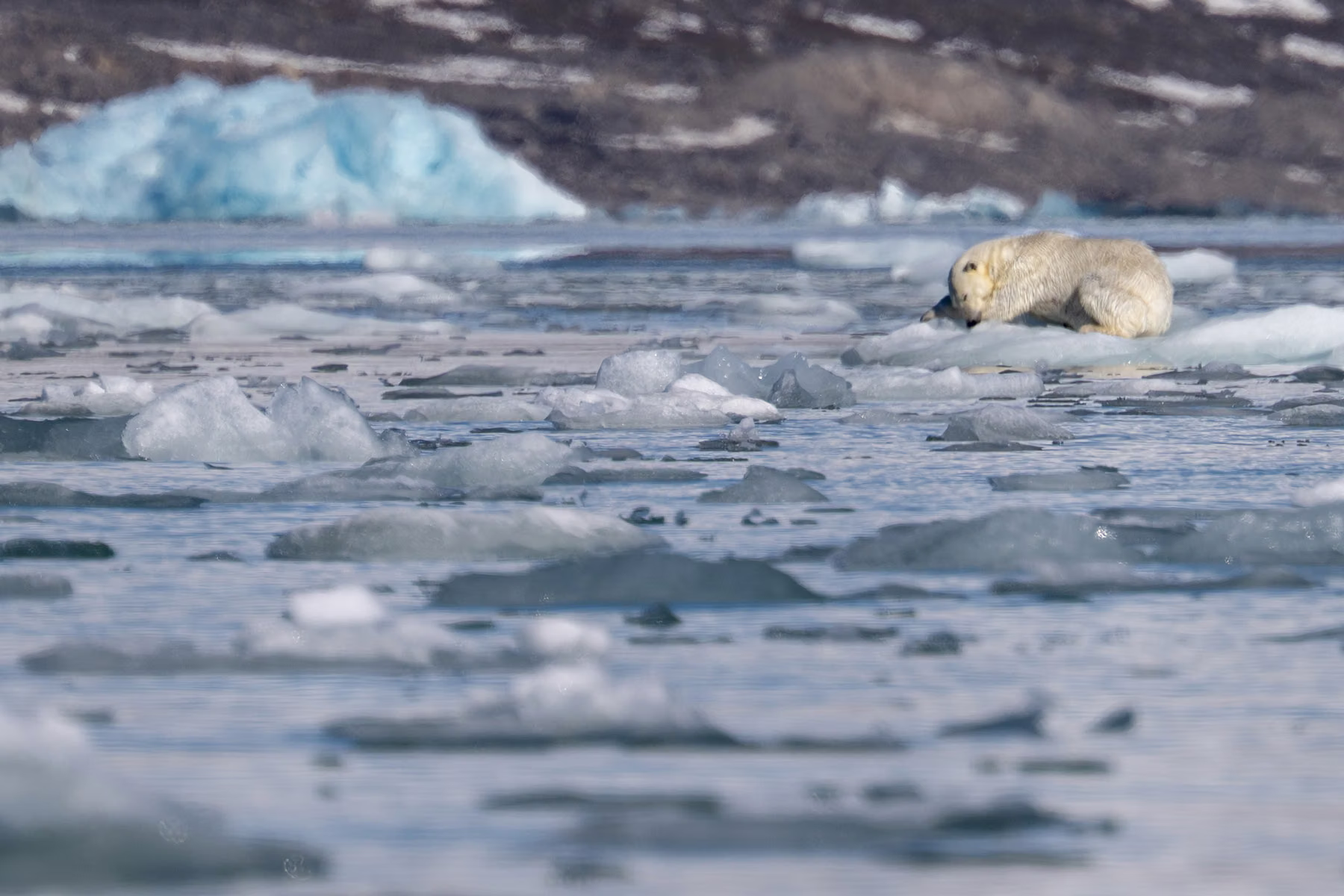 Liefdeflord - Monacobreen, Spitsbergen, Svalbard (2026)