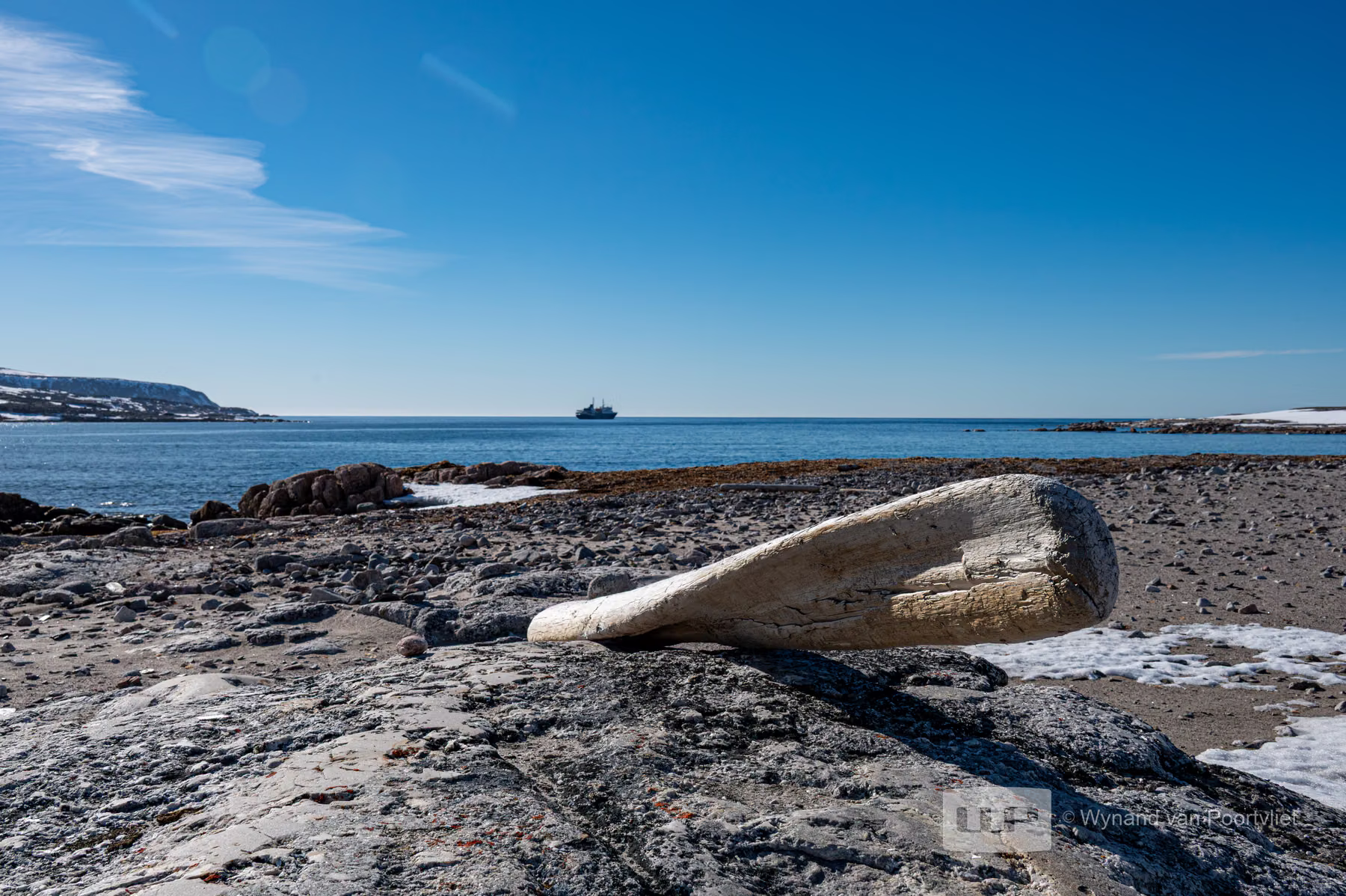 Chermsideøya, Spitsbergen, Svalbard