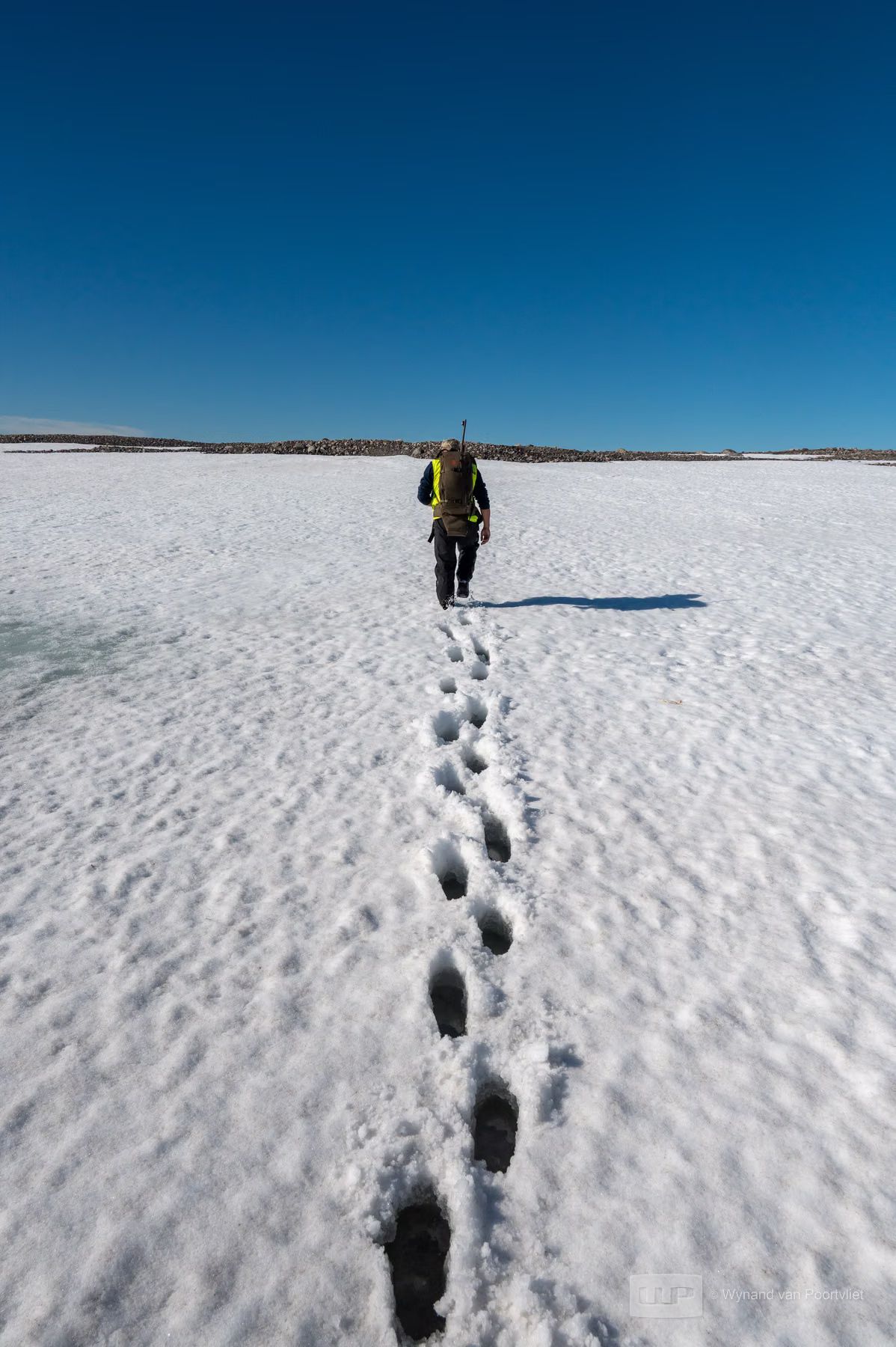Chermsideøya, Spitsbergen, Svalbard
