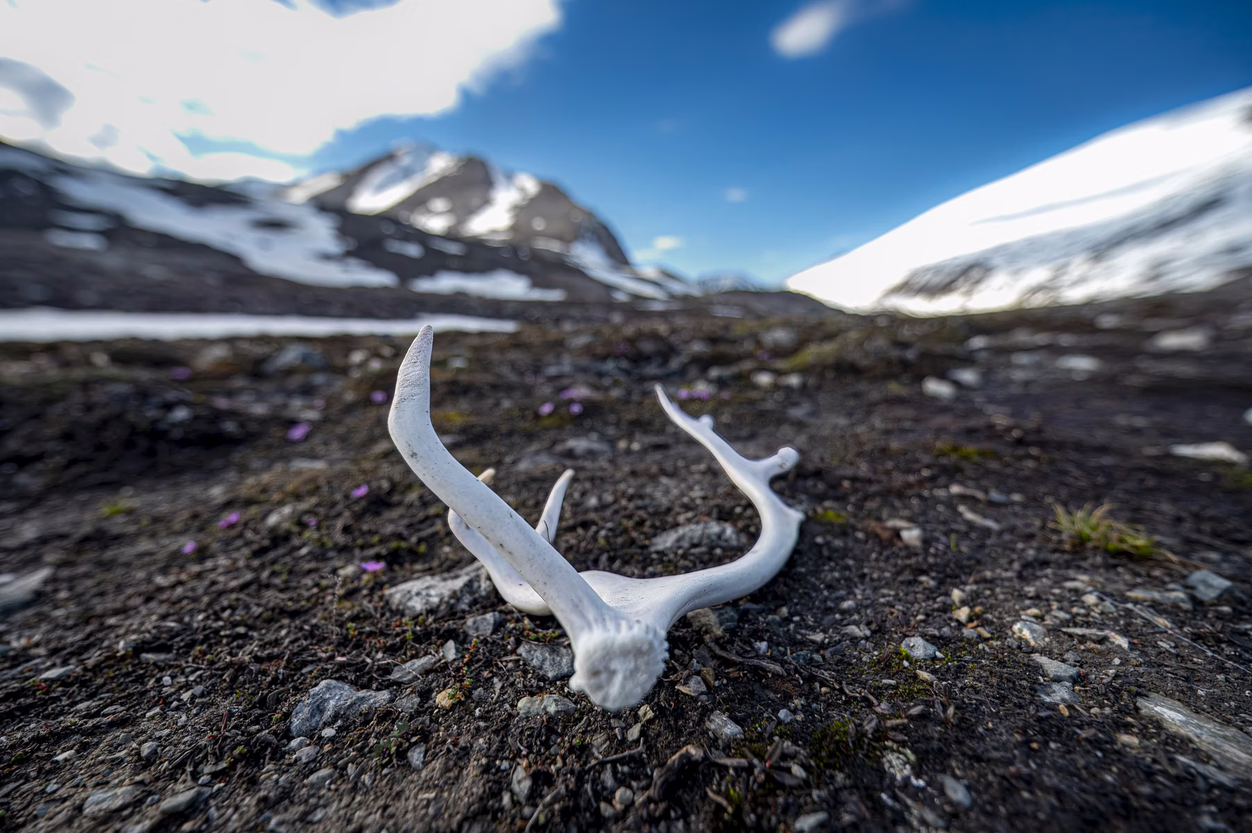 Texas Bar, Spitsbergen, Svalbard (2026)
