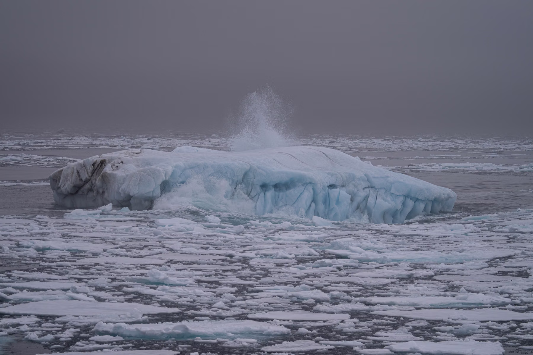 Spitsbergen, Svalbard (2026)