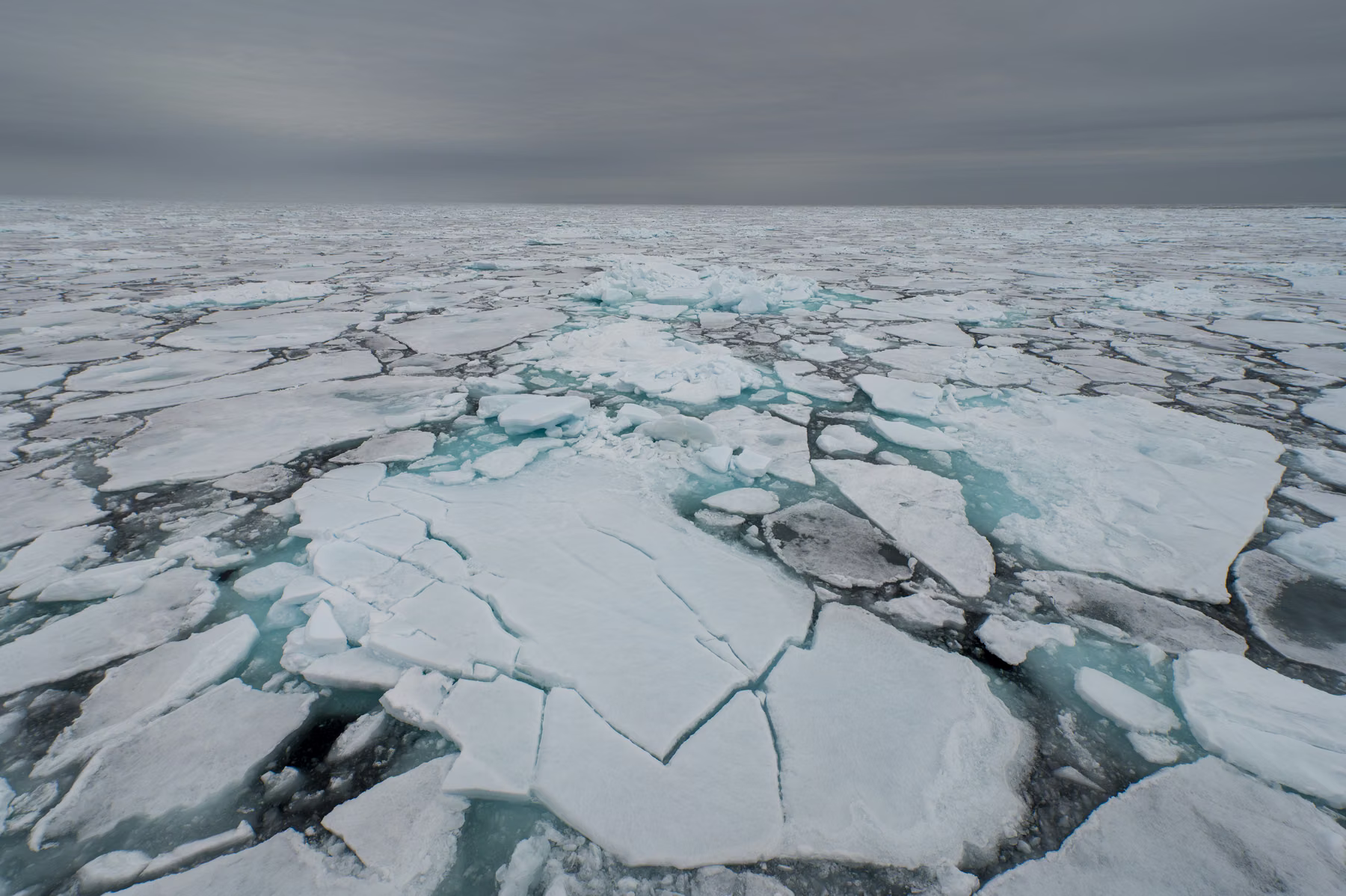 Spitsbergen, Svalbard (2026)