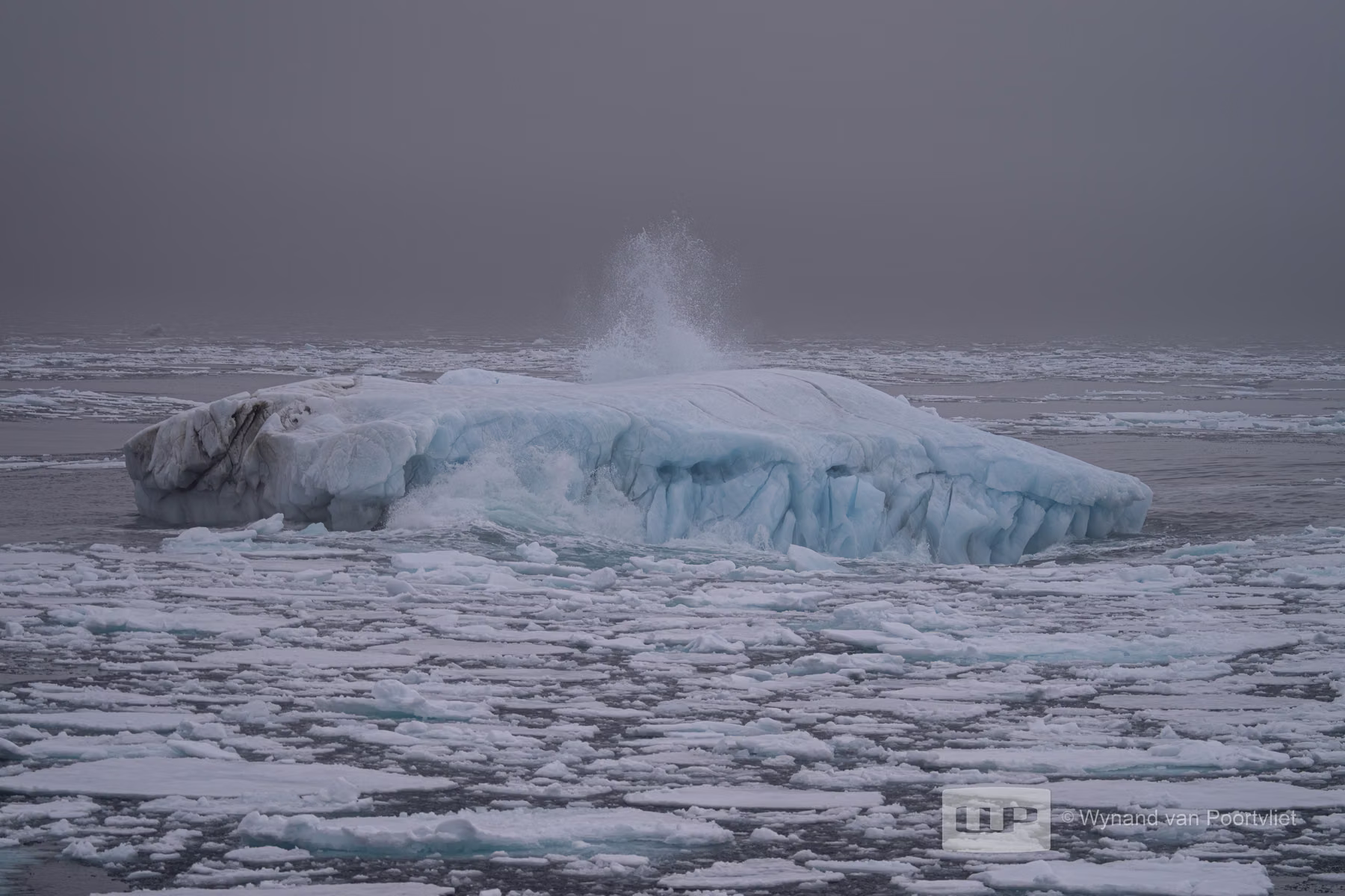 Pack Ice - Spitsbergen, Svalbard