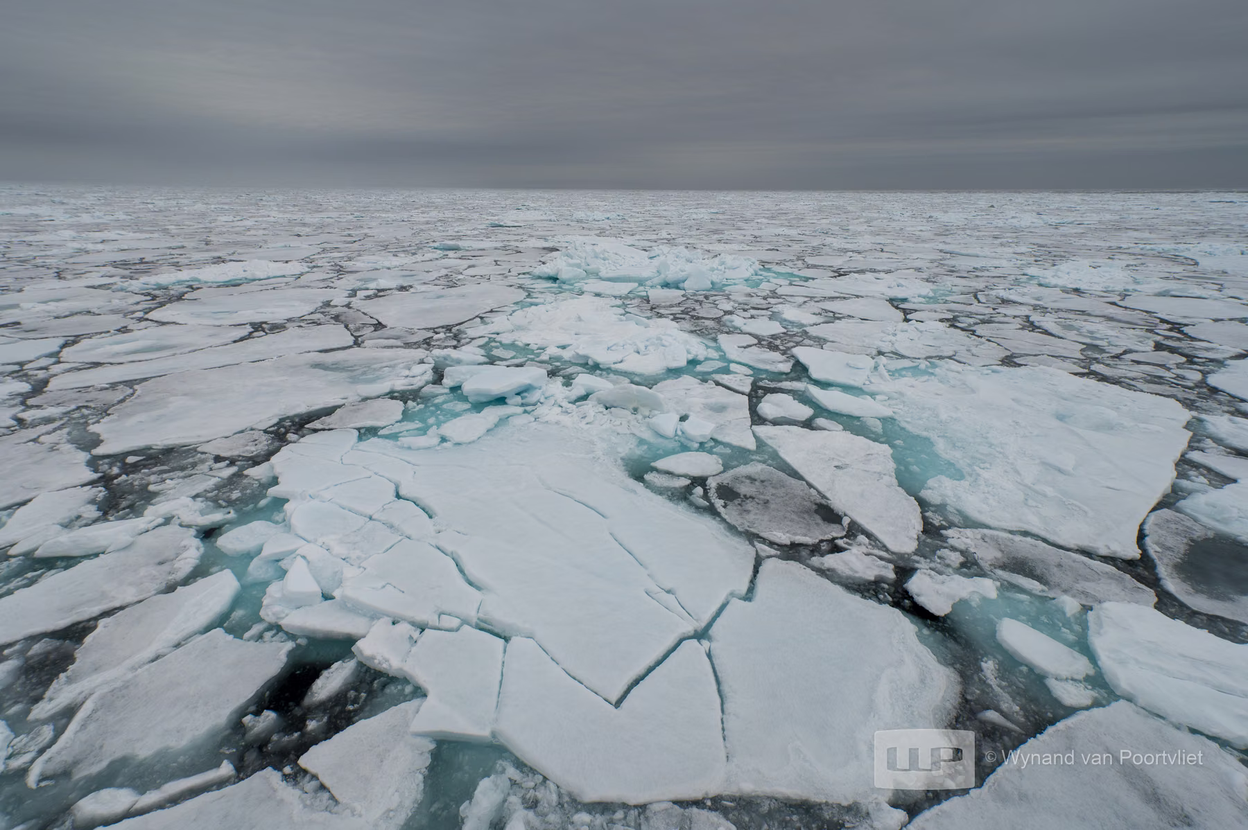 Pack Ice - Spitsbergen, Svalbard