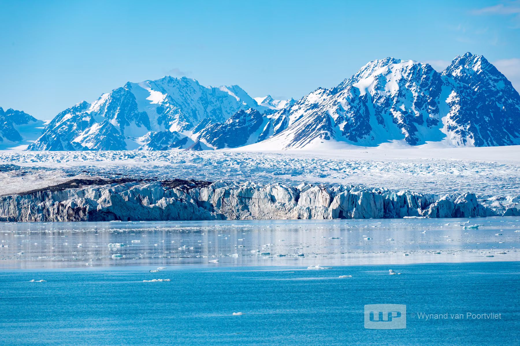 Liefdeflorden - Monacobreen, Spitsbergen, Svalbard