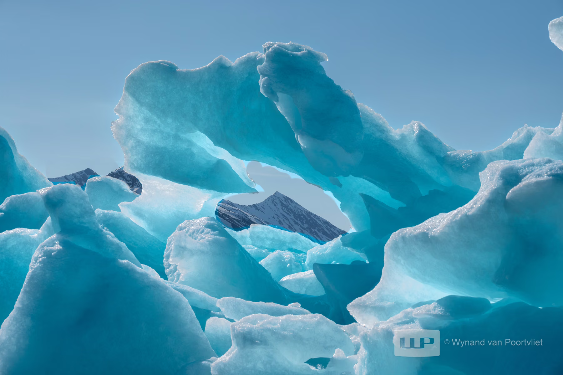 Liefdeflorden - Monacobreen, Spitsbergen, Svalbard