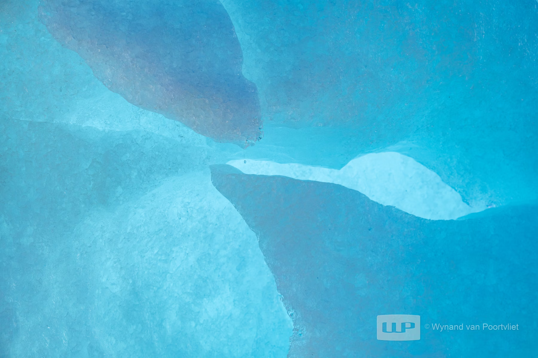 Liefdeflorden - Monacobreen, Spitsbergen, Svalbard