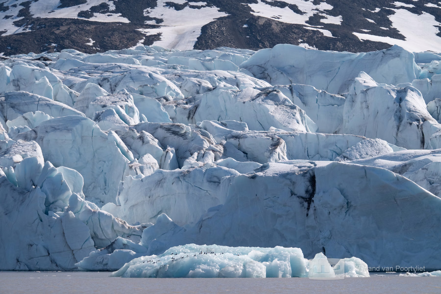 Liefdeflorden - Monacobreen, Spitsbergen, Svalbard