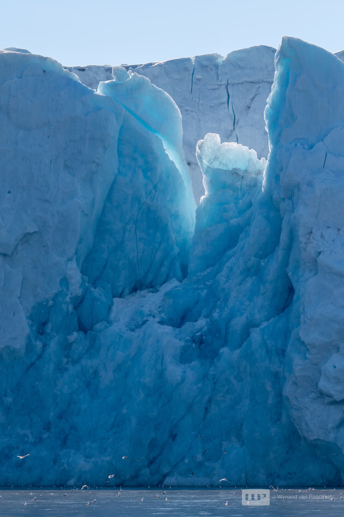 Liefdeflorden - Monacobreen, Spitsbergen, Svalbard
