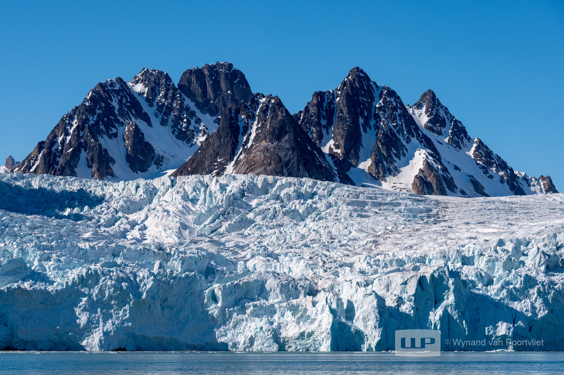 Liefdeflorden - Monacobreen, Spitsbergen, Svalbard