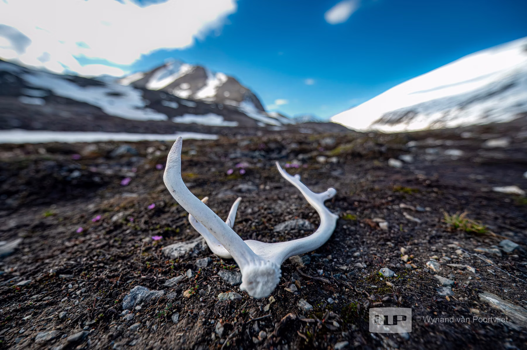 Texas Bar, Spitsbergen, Svalbard