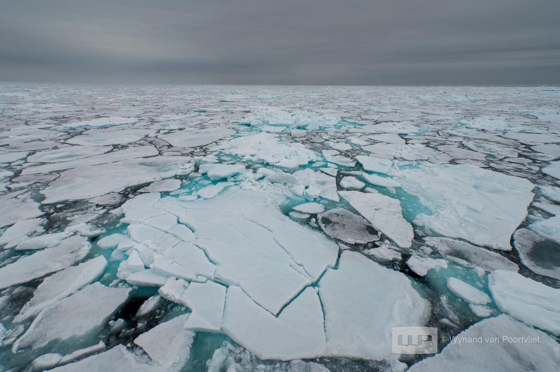 Pack Ice - Spitsbergen, Svalbard