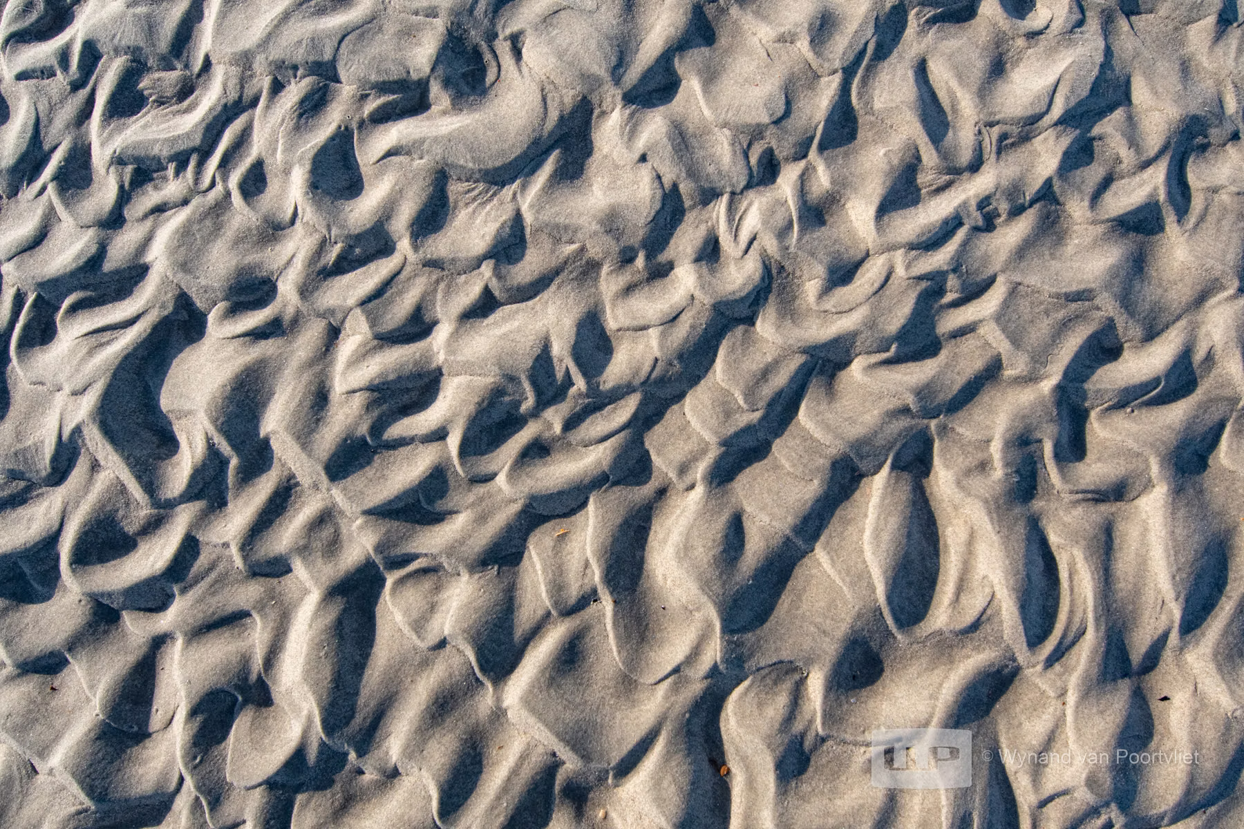 Vlieland - The Netherlands